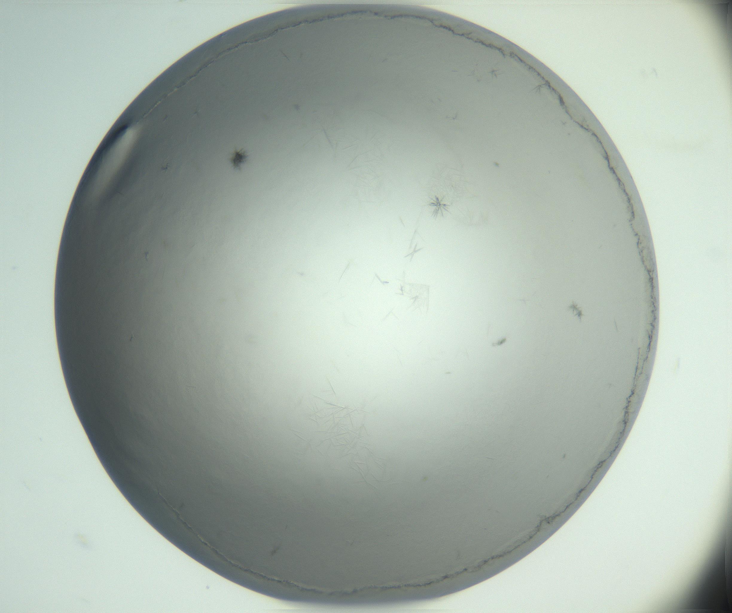 RI01_03_000_0212_Proj1_Clon1_MC_0000MC102940_002_161106_08_03_02_00_99_002_001_RAI.jpg