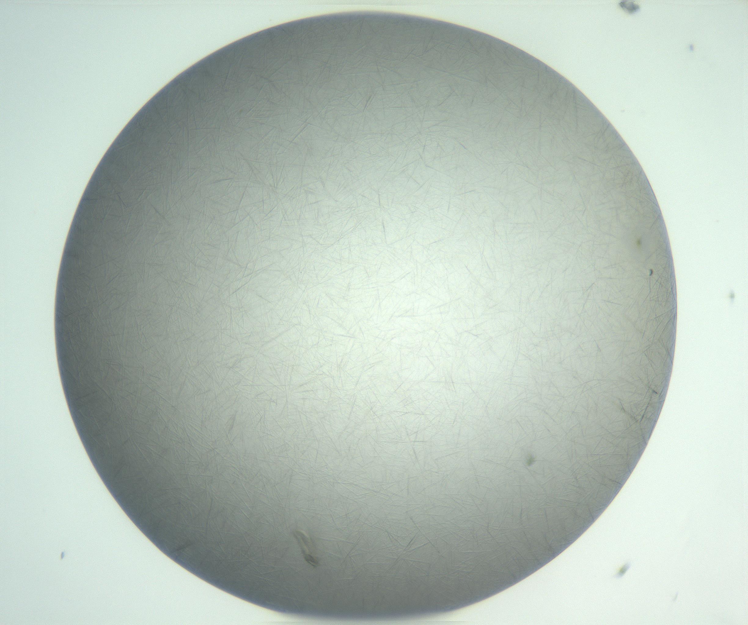RI01_03_000_0212_Proj1_Clon1_MC_0000MC102940_002_161106_09_06_01_00_99_002_001_RAI.jpg