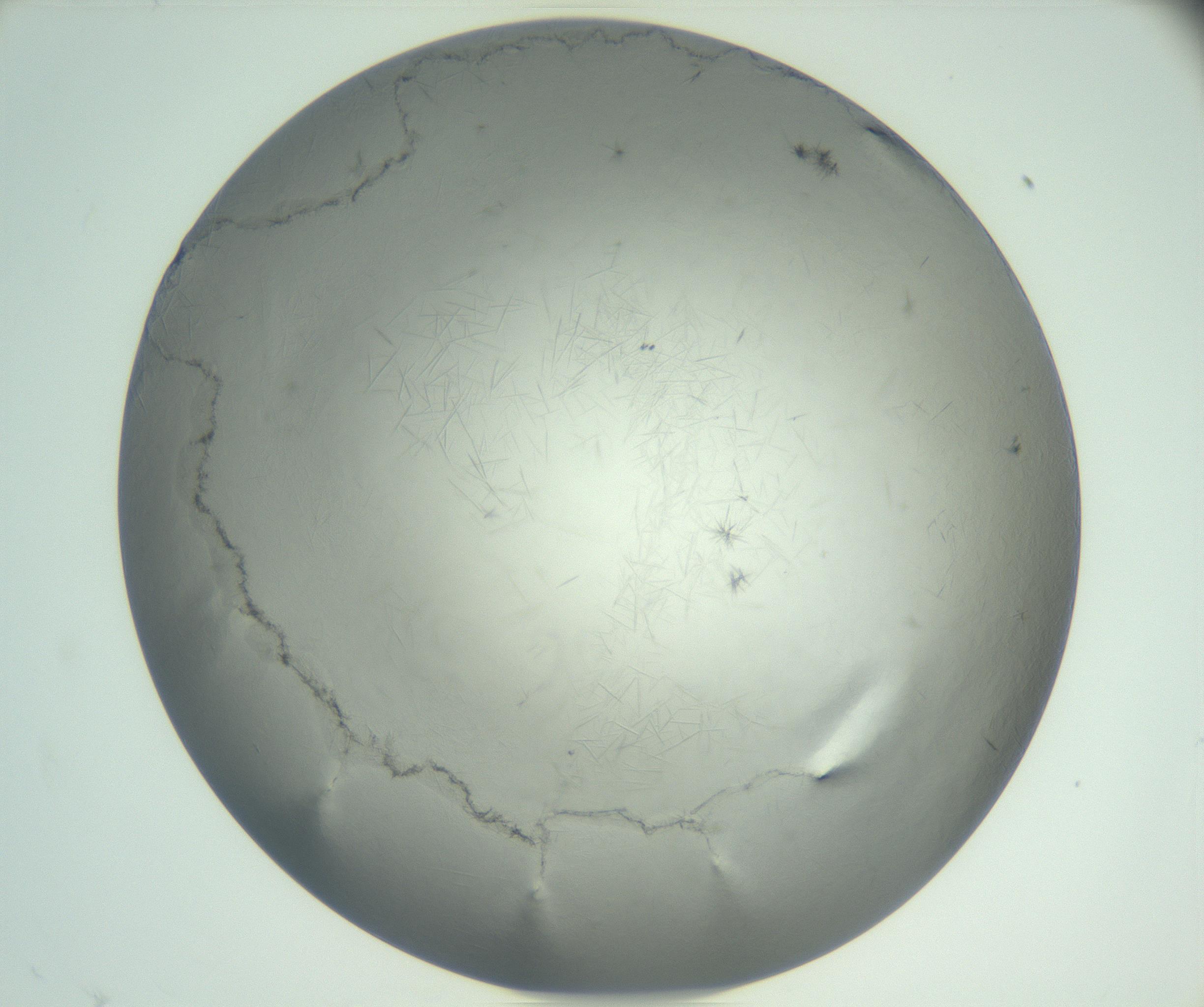 RI01_03_000_0212_Proj1_Clon1_MC_0000MC102940_002_161106_11_02_02_00_99_002_001_RAI.jpg