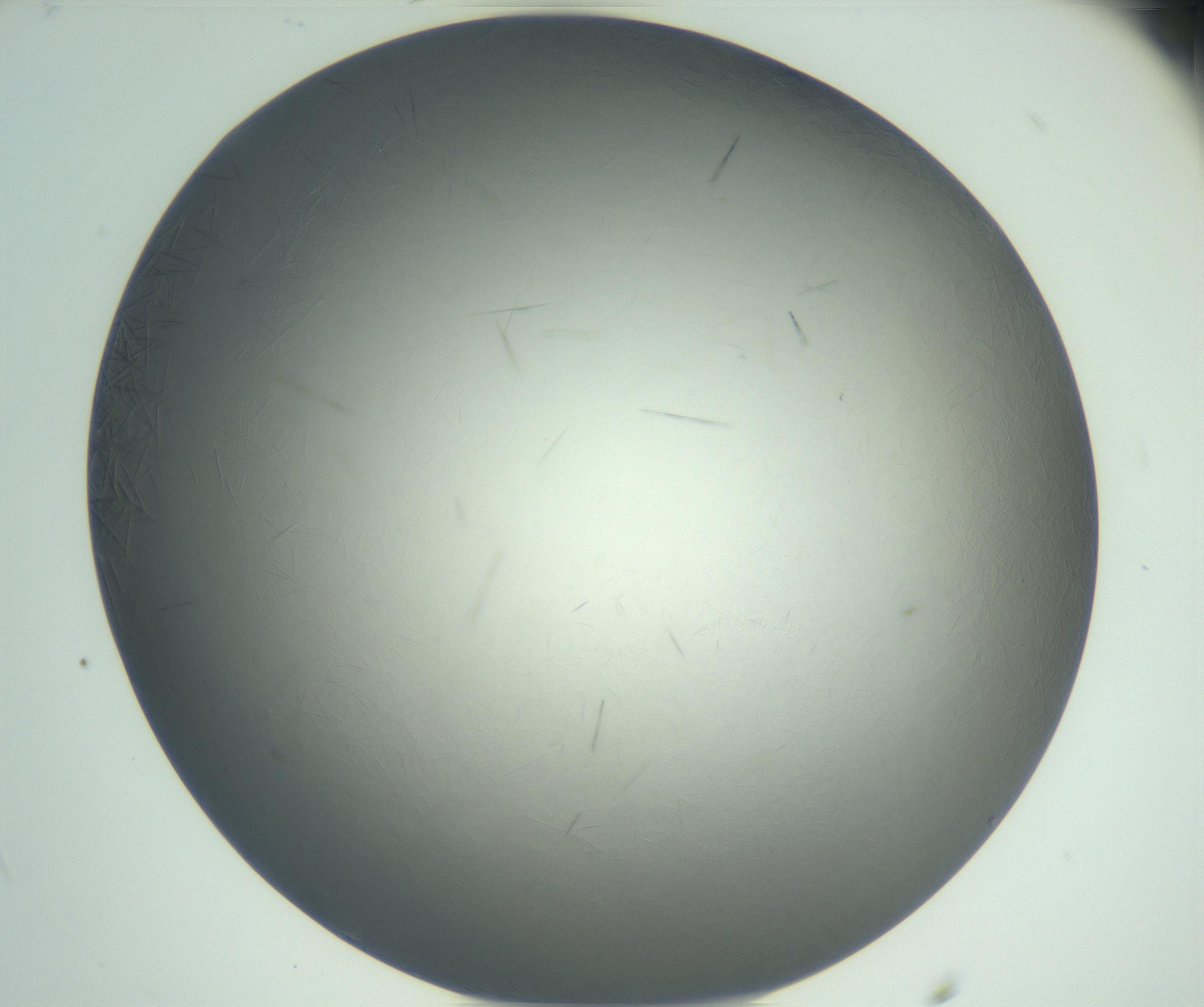 RI01_03_000_0212_Proj1_Clon1_MC_0000MC102940_002_161106_11_04_02_00_99_002_001_RAI.jpg