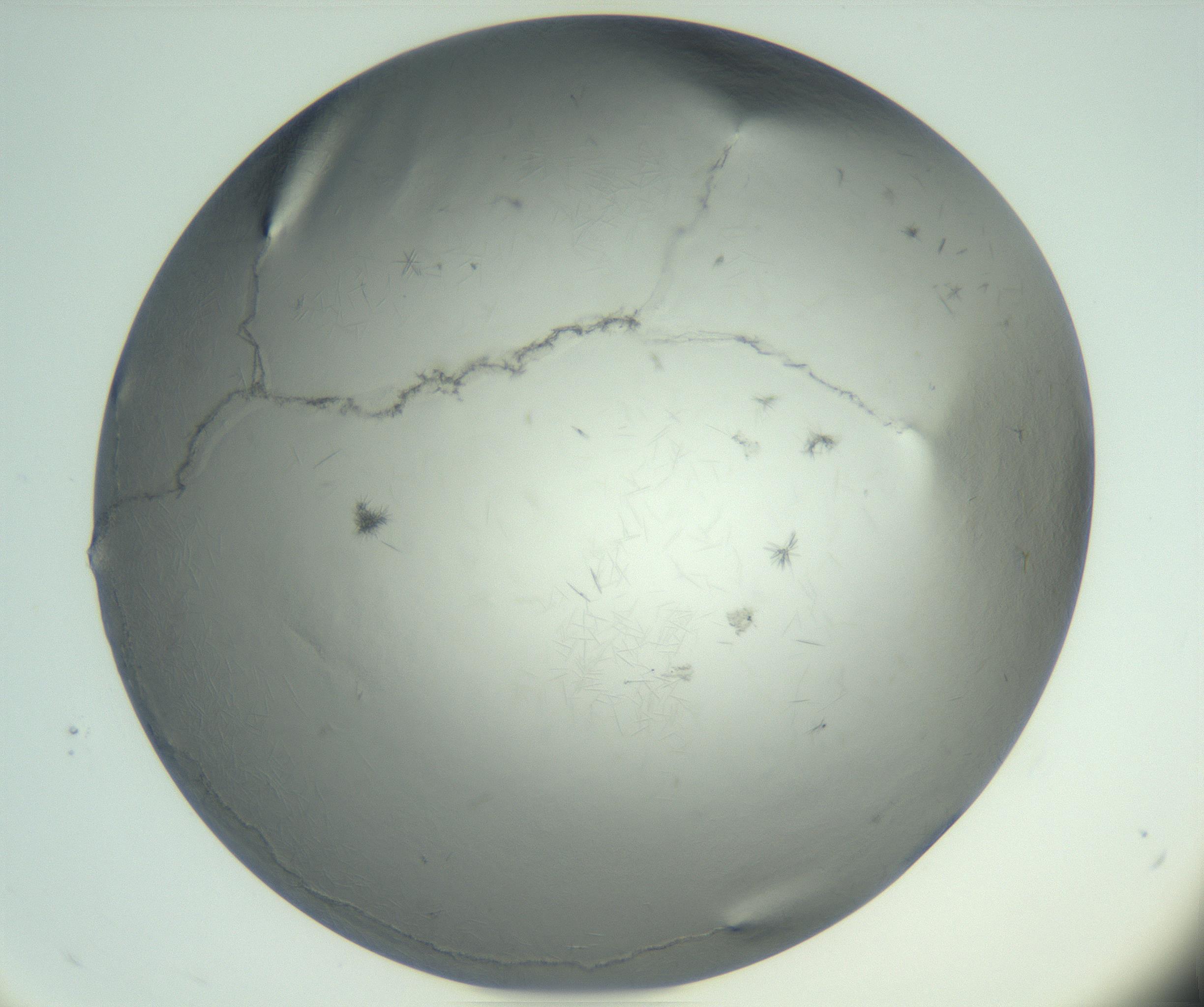 RI01_03_000_0212_Proj1_Clon1_MC_0000MC102940_002_161106_12_02_02_00_99_002_001_RAI.jpg