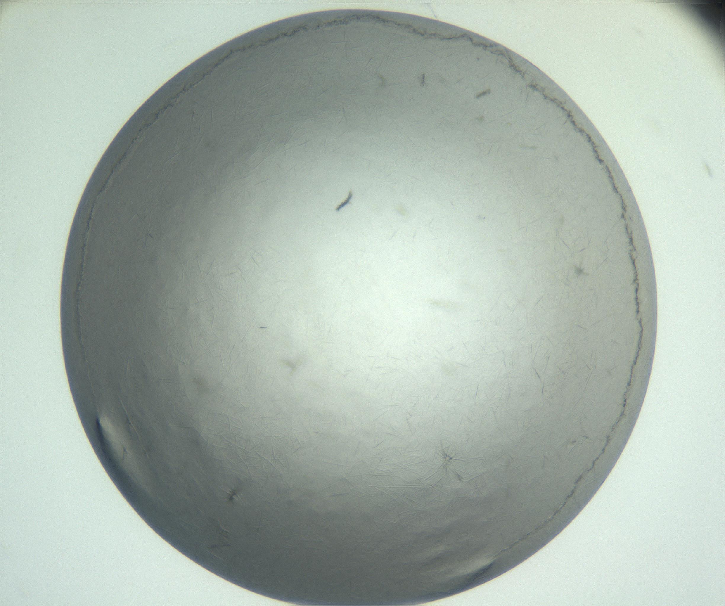 RI01_03_000_0212_Proj1_Clon1_MC_0000MC102940_002_161106_12_07_02_00_99_002_001_RAI.jpg
