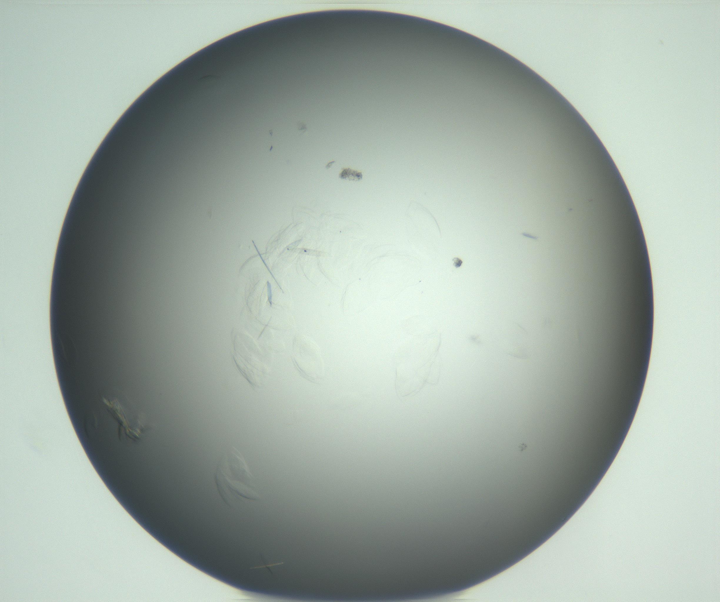 RI01_03_000_0212_Proj1_Clon1_MC_0000MC102940_005_161112_09_01_02_00_99_002_001_RAI.jpg