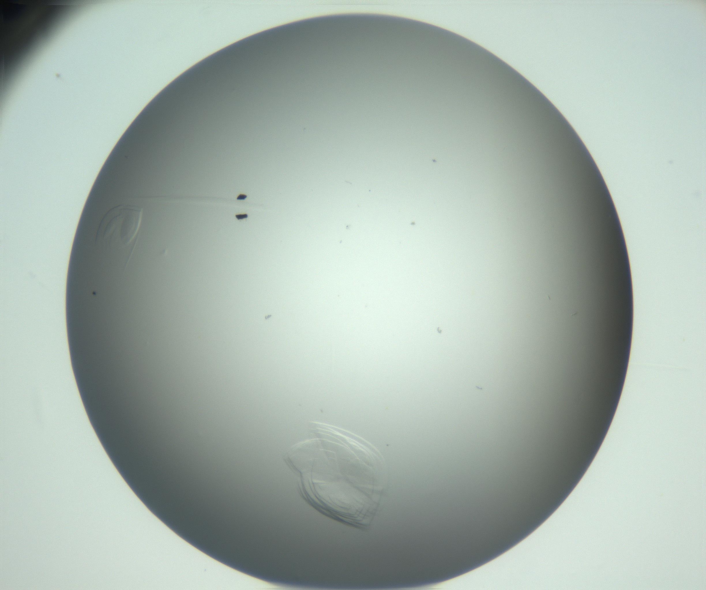 RI01_03_000_0212_Proj1_Clon1_MC_0000MC102940_005_161112_10_07_02_00_99_002_001_RAI.jpg