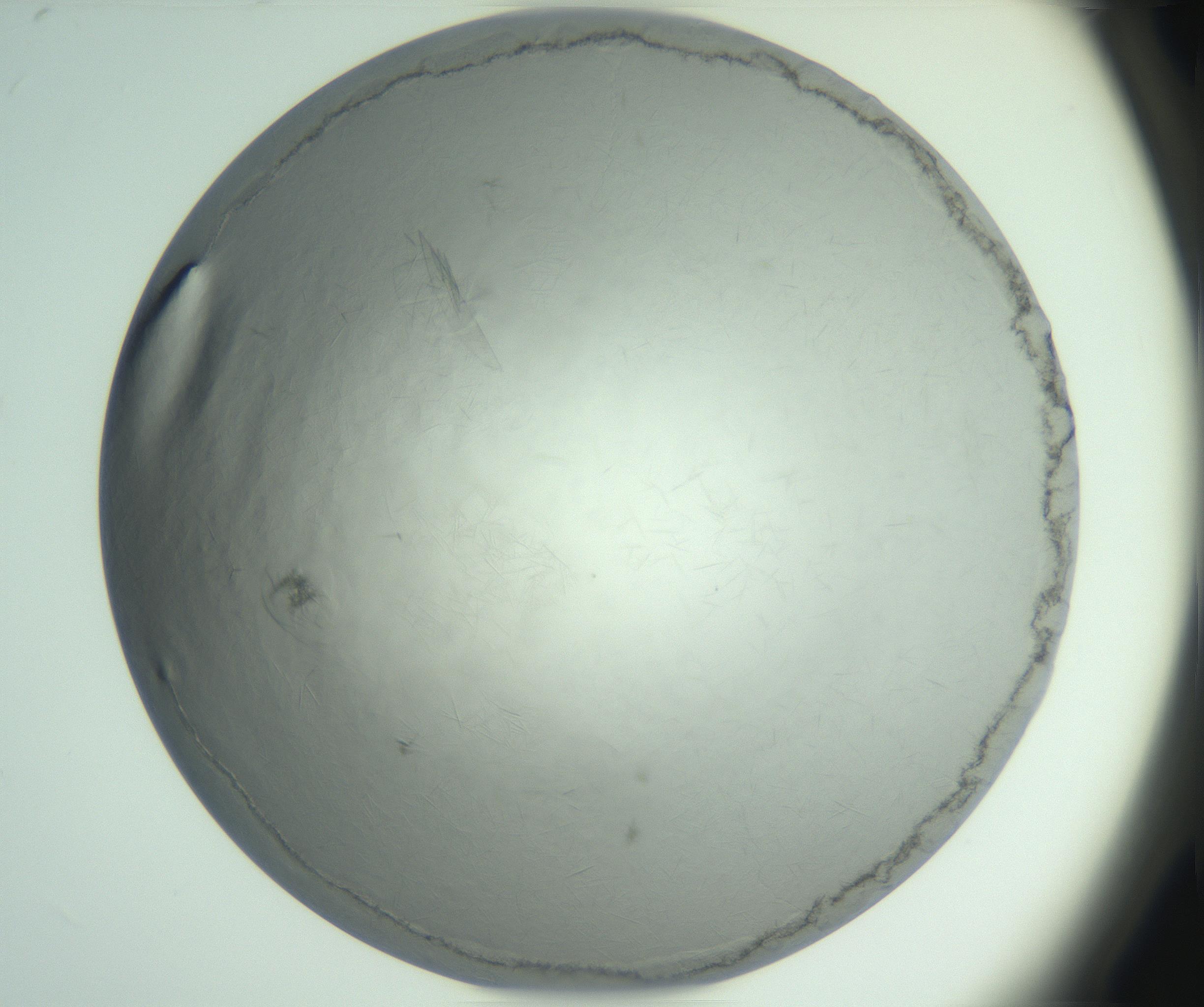 RI01_03_000_0212_Proj1_Clon1_MC_0000MC102940_006_161115_03_03_02_00_99_002_001_RAI.jpg