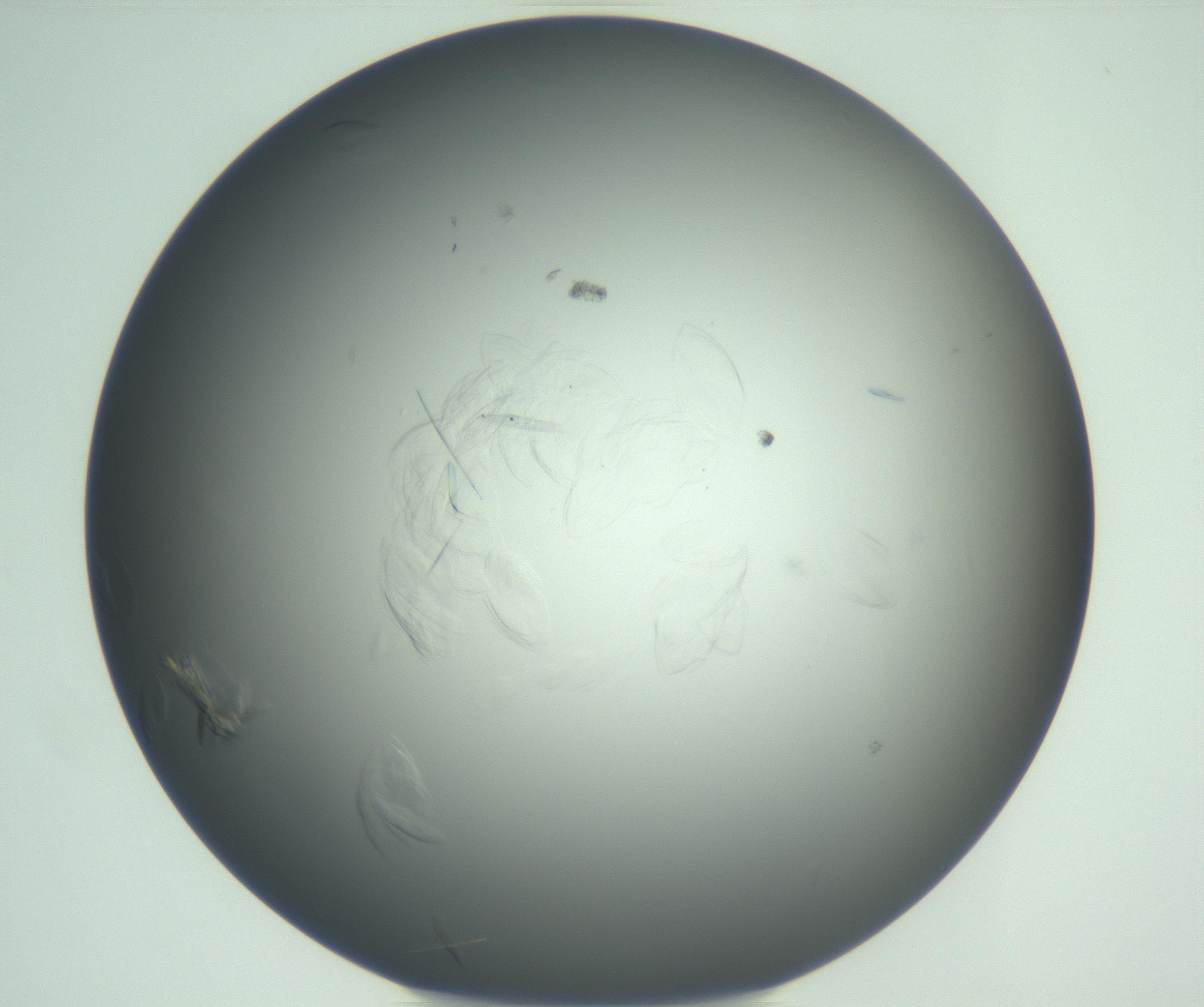RI01_03_000_0212_Proj1_Clon1_MC_0000MC102940_006_161115_09_01_02_00_99_002_001_RAI.jpg