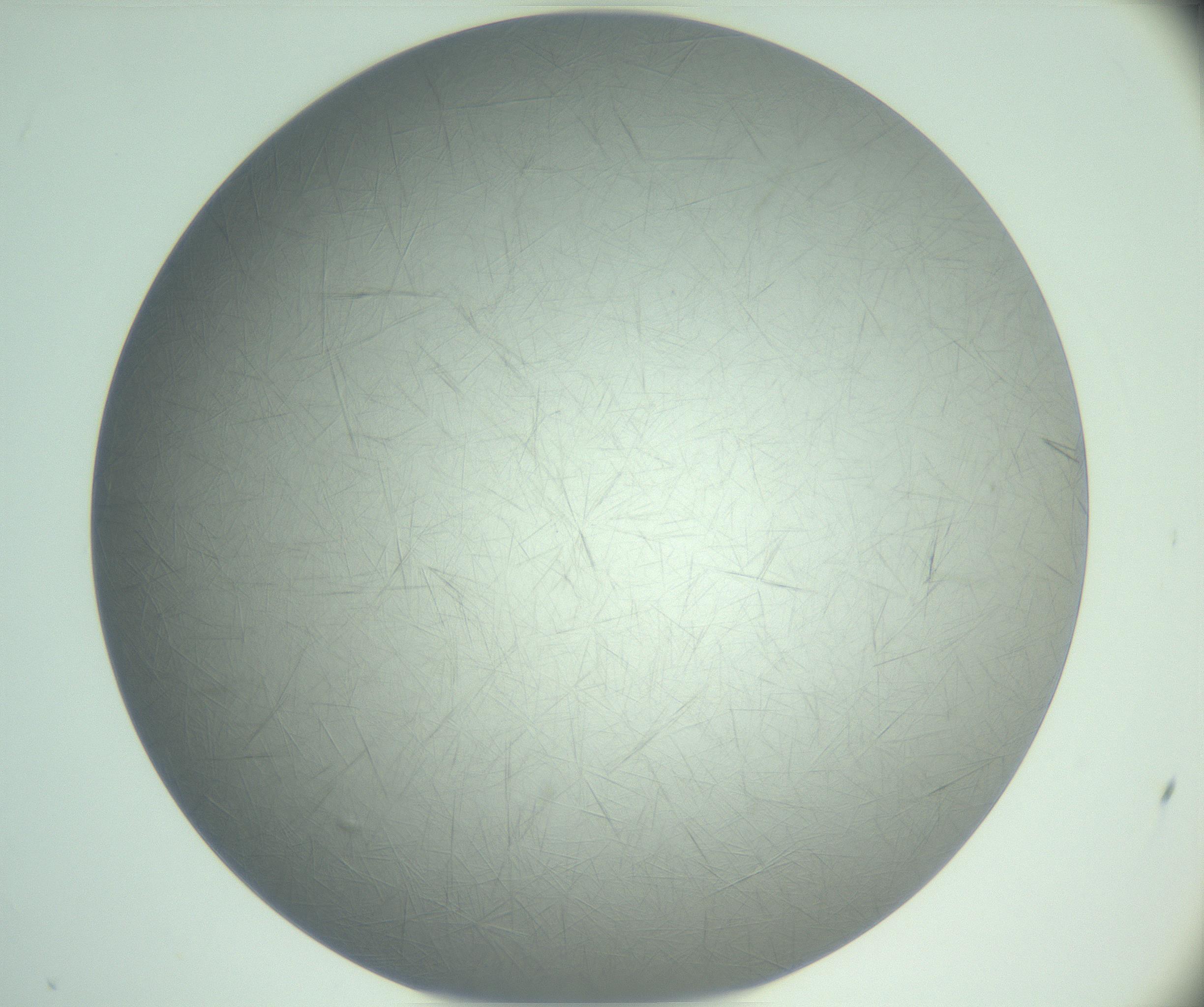 RI01_03_000_0212_Proj1_Clon1_MC_0000MC102940_008_161126_01_01_02_00_99_002_001_RAI.jpg