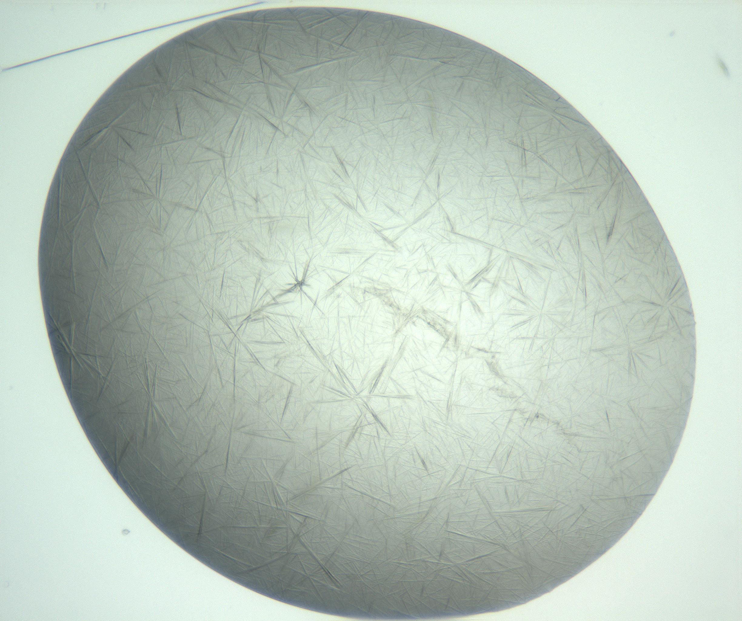 RI01_03_000_0212_Proj1_Clon1_MC_0000MC102940_008_161126_01_02_01_00_99_002_001_RAI.jpg