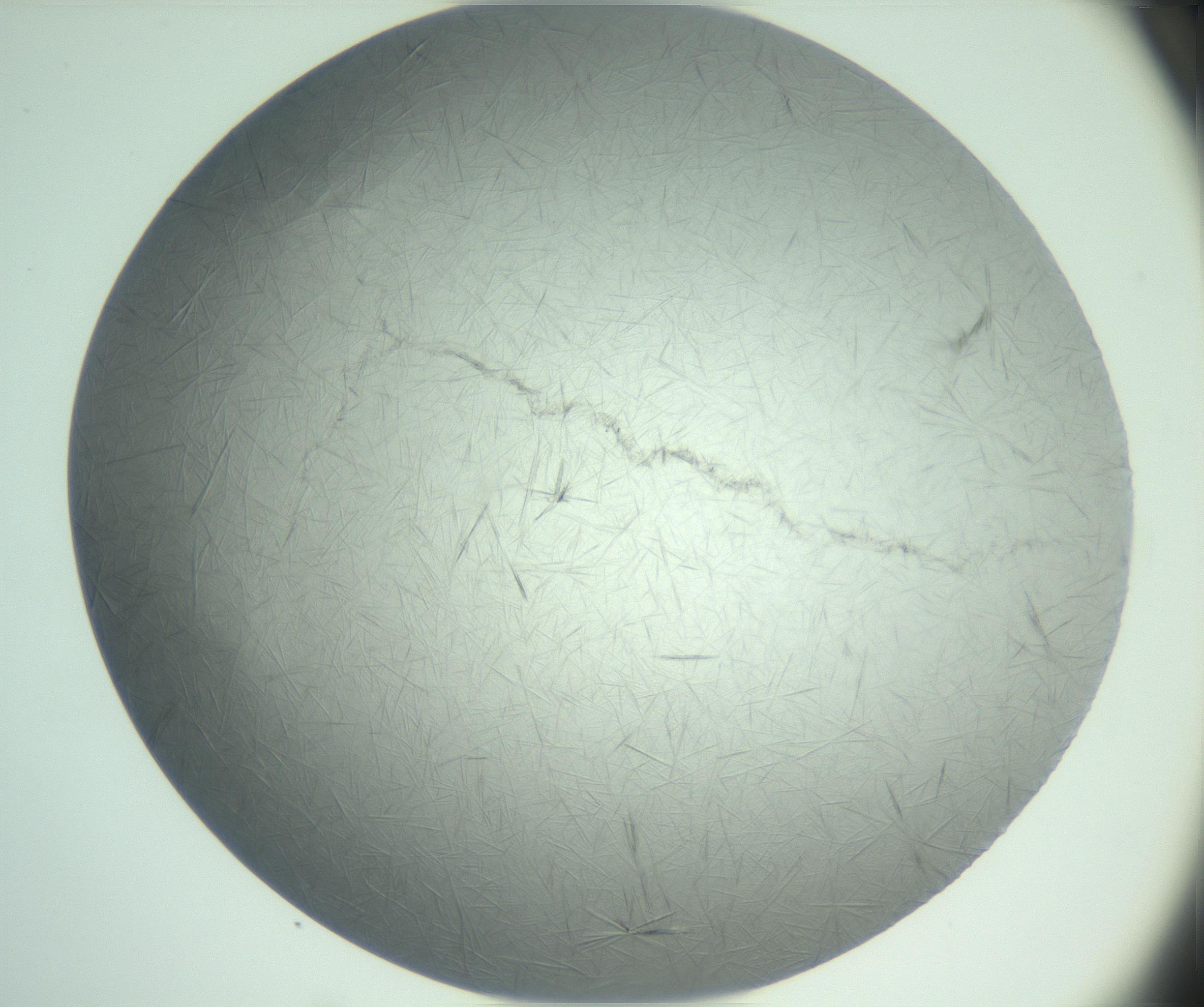 RI01_03_000_0212_Proj1_Clon1_MC_0000MC102940_008_161126_01_02_02_00_99_002_001_RAI.jpg
