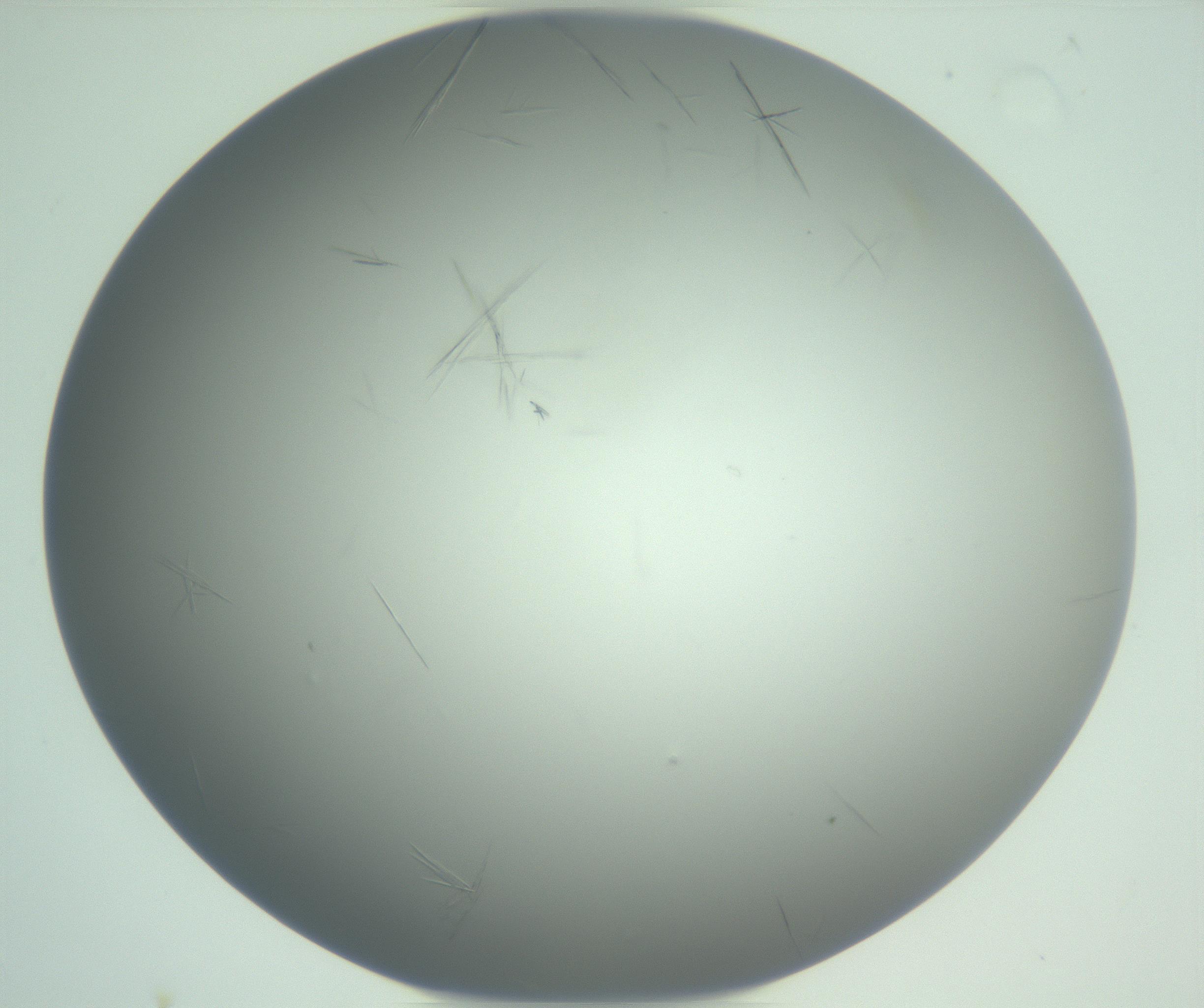 RI01_03_000_0212_Proj1_Clon1_MC_0000MC102940_008_161126_01_04_01_00_99_002_001_RAI.jpg