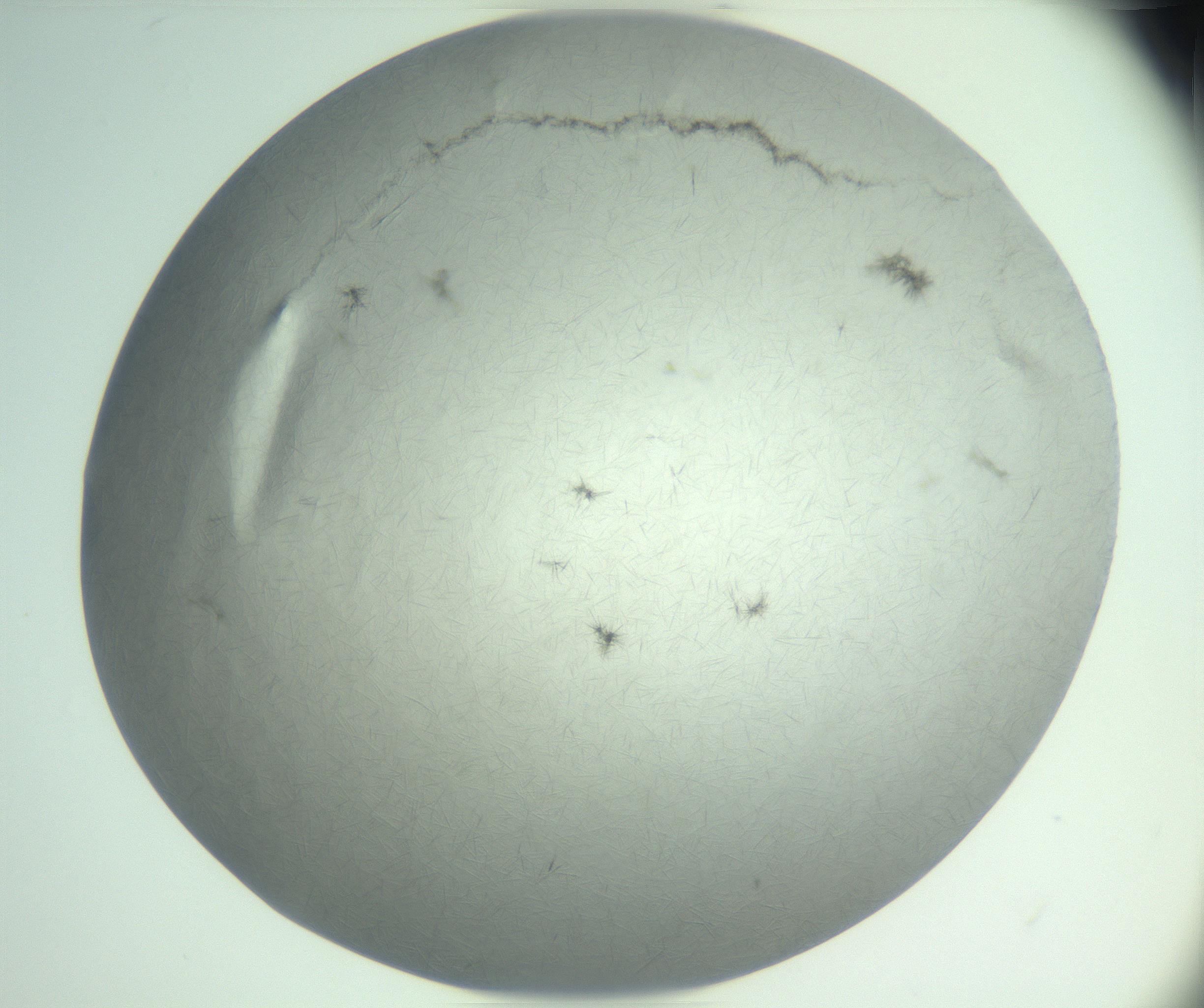RI01_03_000_0212_Proj1_Clon1_MC_0000MC102940_008_161126_01_08_02_00_99_002_001_RAI.jpg