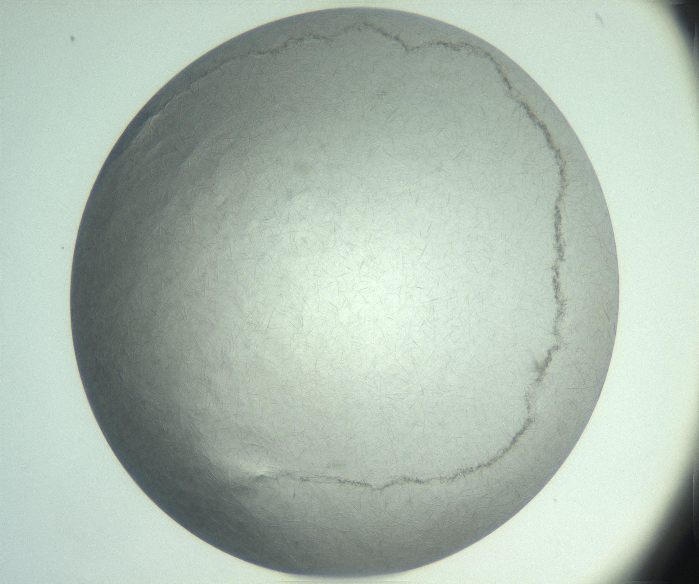 RI01_03_000_0212_Proj1_Clon1_MC_0000MC102940_008_161126_02_03_02_00_99_002_001_RAI.jpg