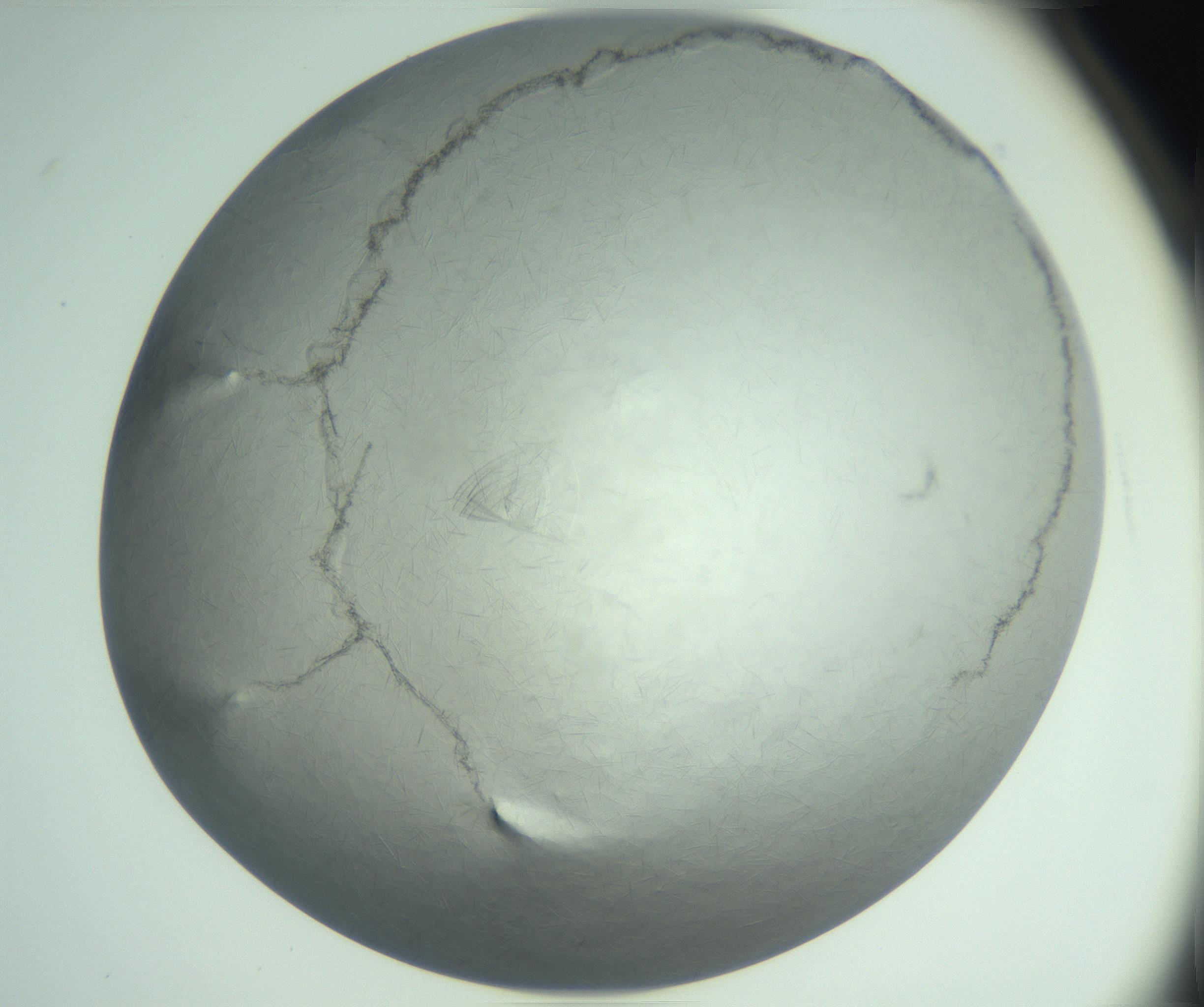 RI01_03_000_0212_Proj1_Clon1_MC_0000MC102940_008_161126_02_06_02_00_99_002_001_RAI.jpg