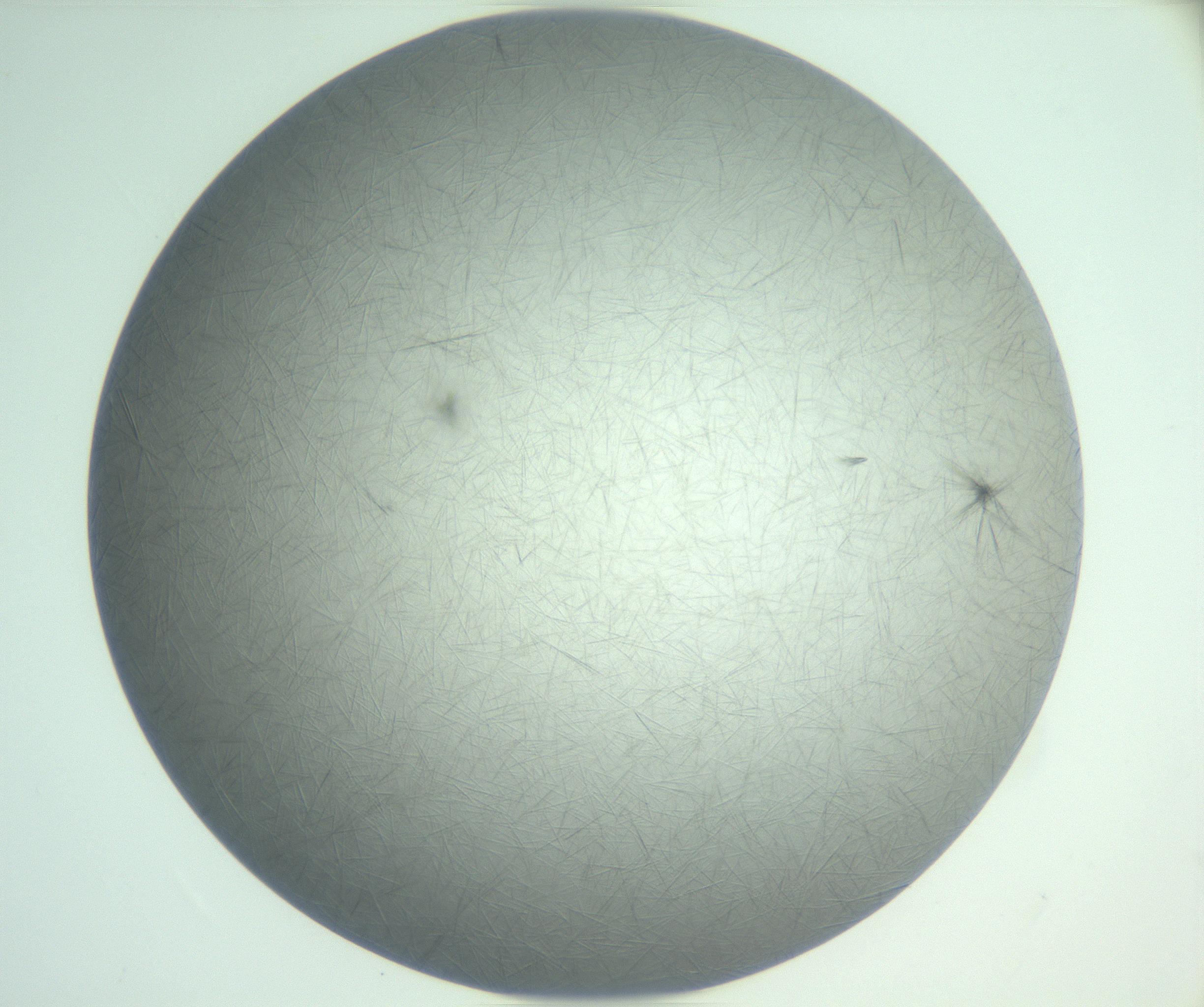 RI01_03_000_0212_Proj1_Clon1_MC_0000MC102940_008_161126_02_07_01_00_99_002_001_RAI.jpg