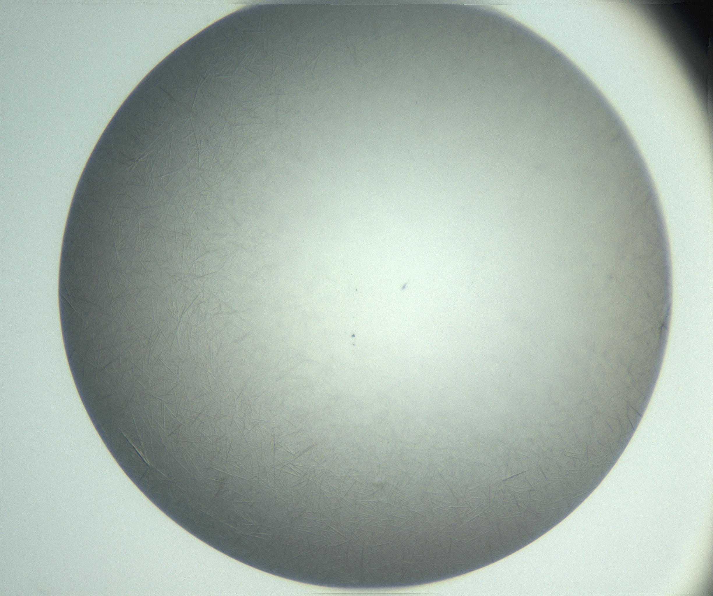 RI01_03_000_0212_Proj1_Clon1_MC_0000MC102940_008_161126_02_07_02_00_99_002_001_RAI.jpg