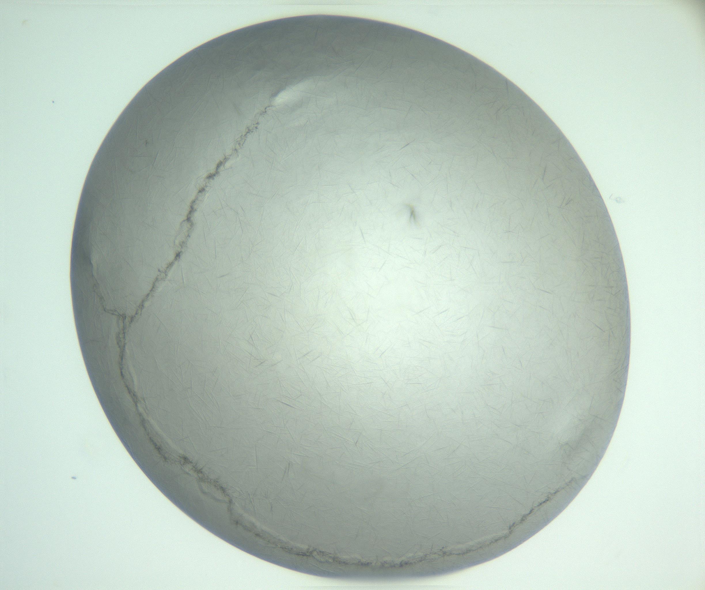 RI01_03_000_0212_Proj1_Clon1_MC_0000MC102940_008_161126_03_02_01_00_99_002_001_RAI.jpg