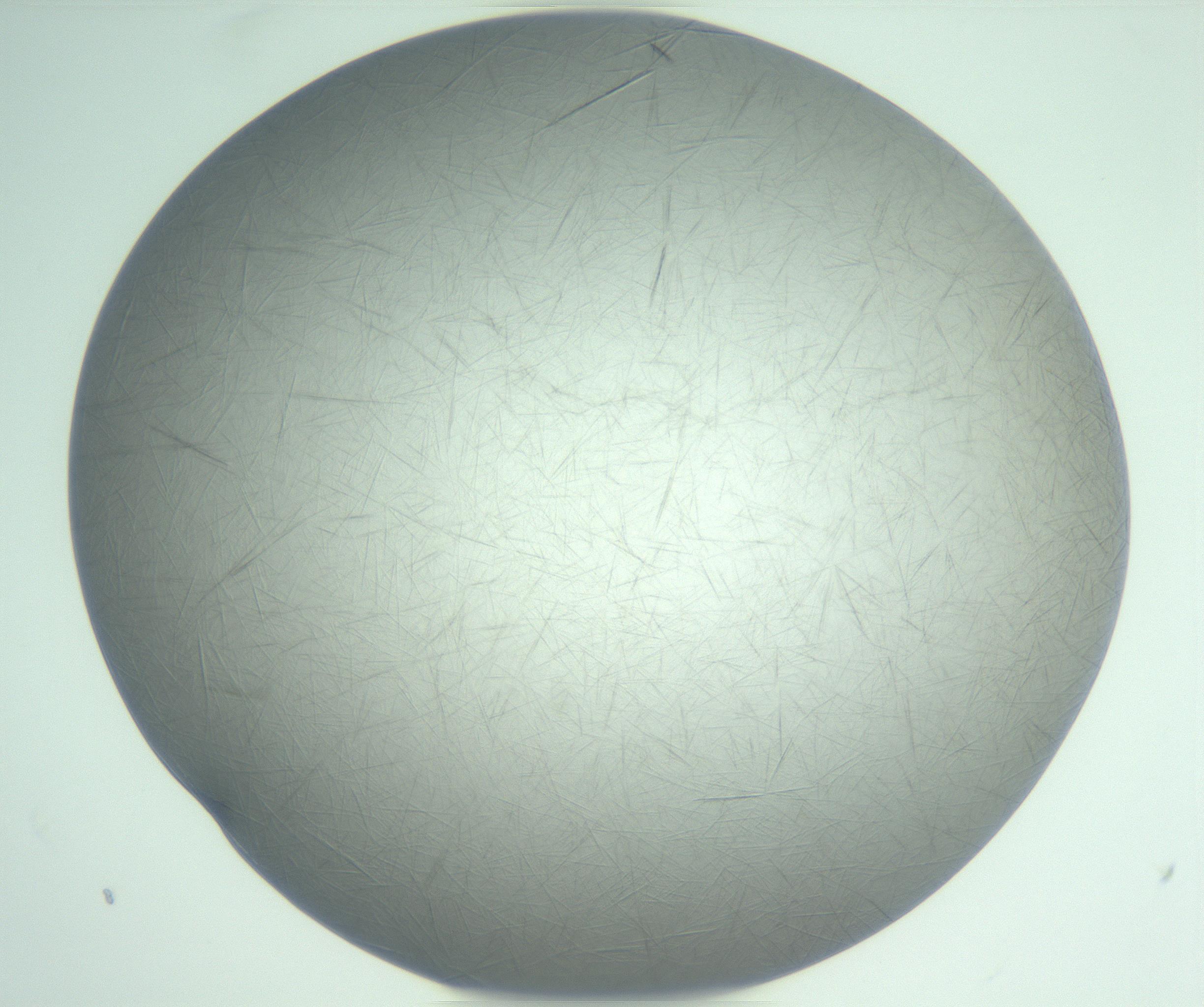 RI01_03_000_0212_Proj1_Clon1_MC_0000MC102940_008_161126_03_06_01_00_99_002_001_RAI.jpg