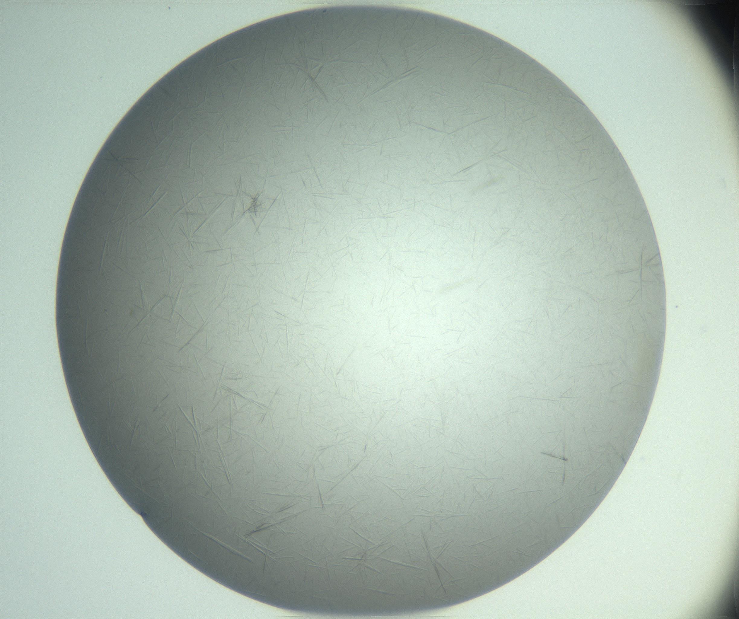 RI01_03_000_0212_Proj1_Clon1_MC_0000MC102940_008_161126_03_06_02_00_99_002_001_RAI.jpg