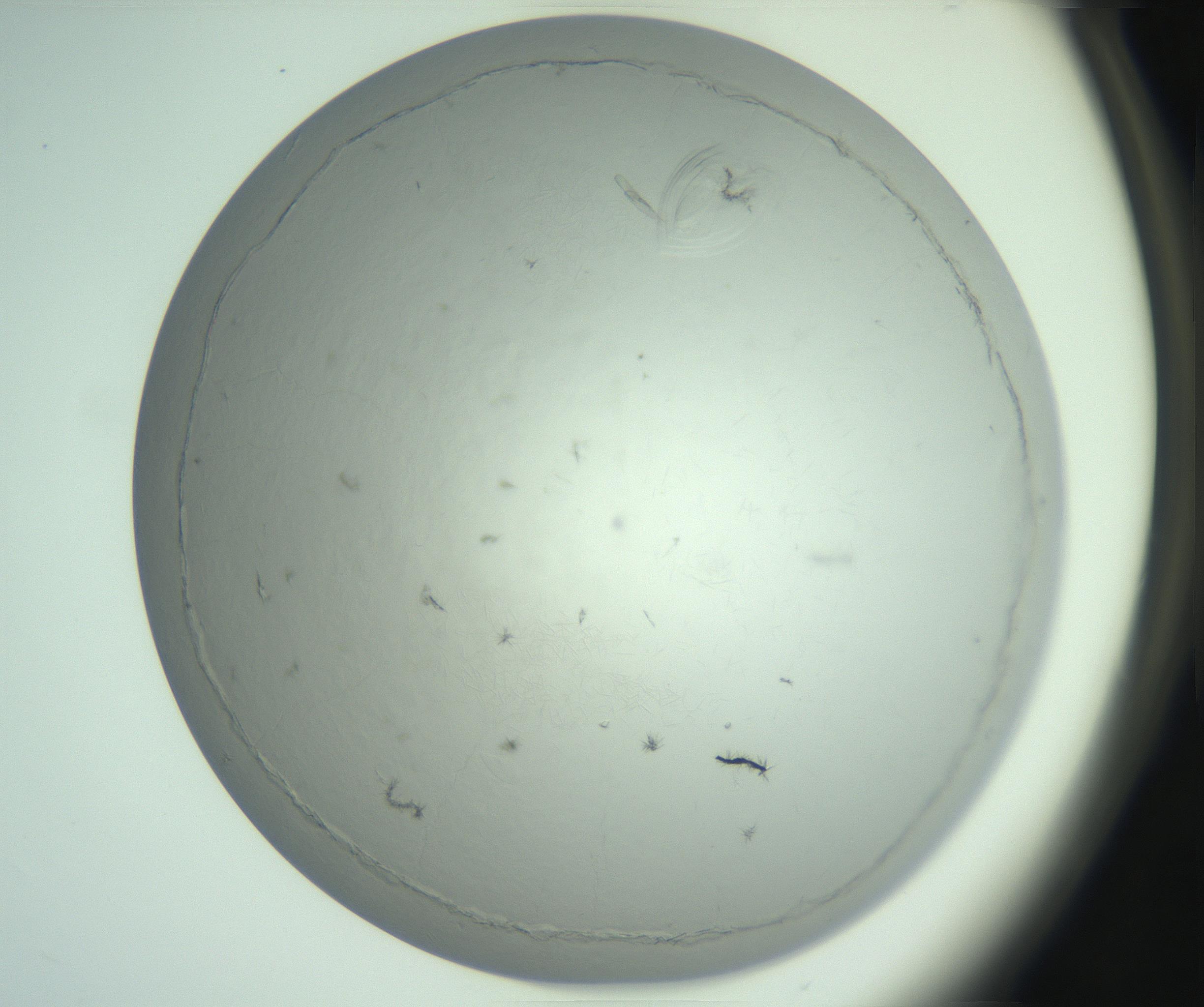 RI01_03_000_0212_Proj1_Clon1_MC_0000MC102940_008_161126_04_03_02_00_99_002_001_RAI.jpg