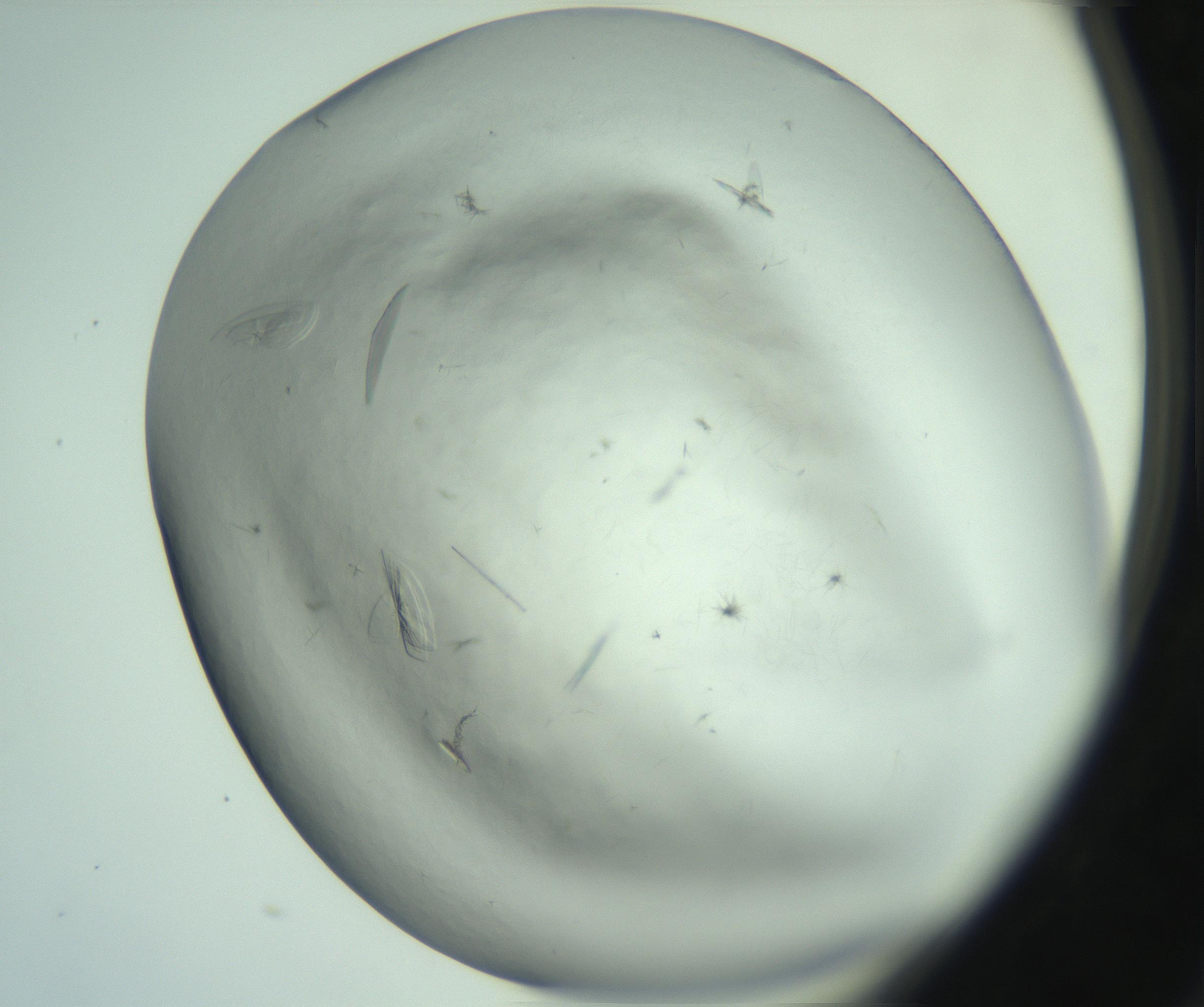 RI01_03_000_0212_Proj1_Clon1_MC_0000MC102940_008_161126_04_04_02_00_99_002_001_RAI.jpg