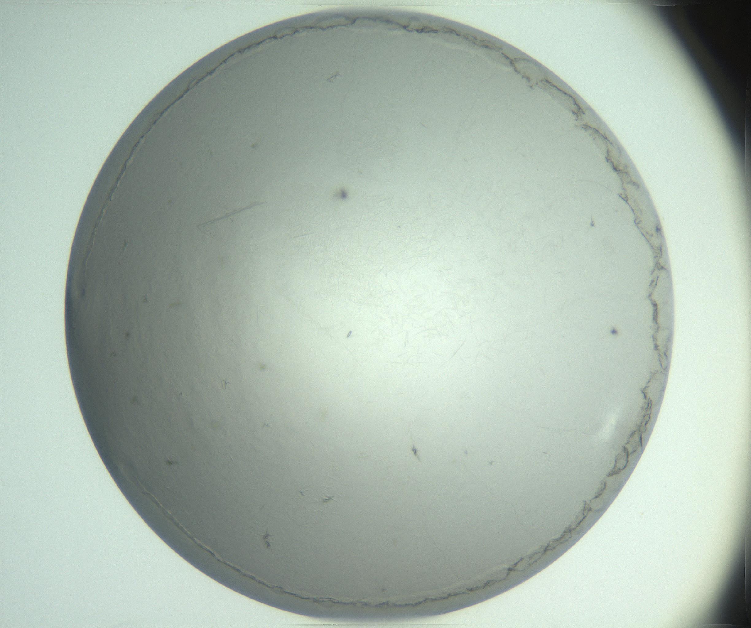 RI01_03_000_0212_Proj1_Clon1_MC_0000MC102940_008_161126_04_06_02_00_99_002_001_RAI.jpg