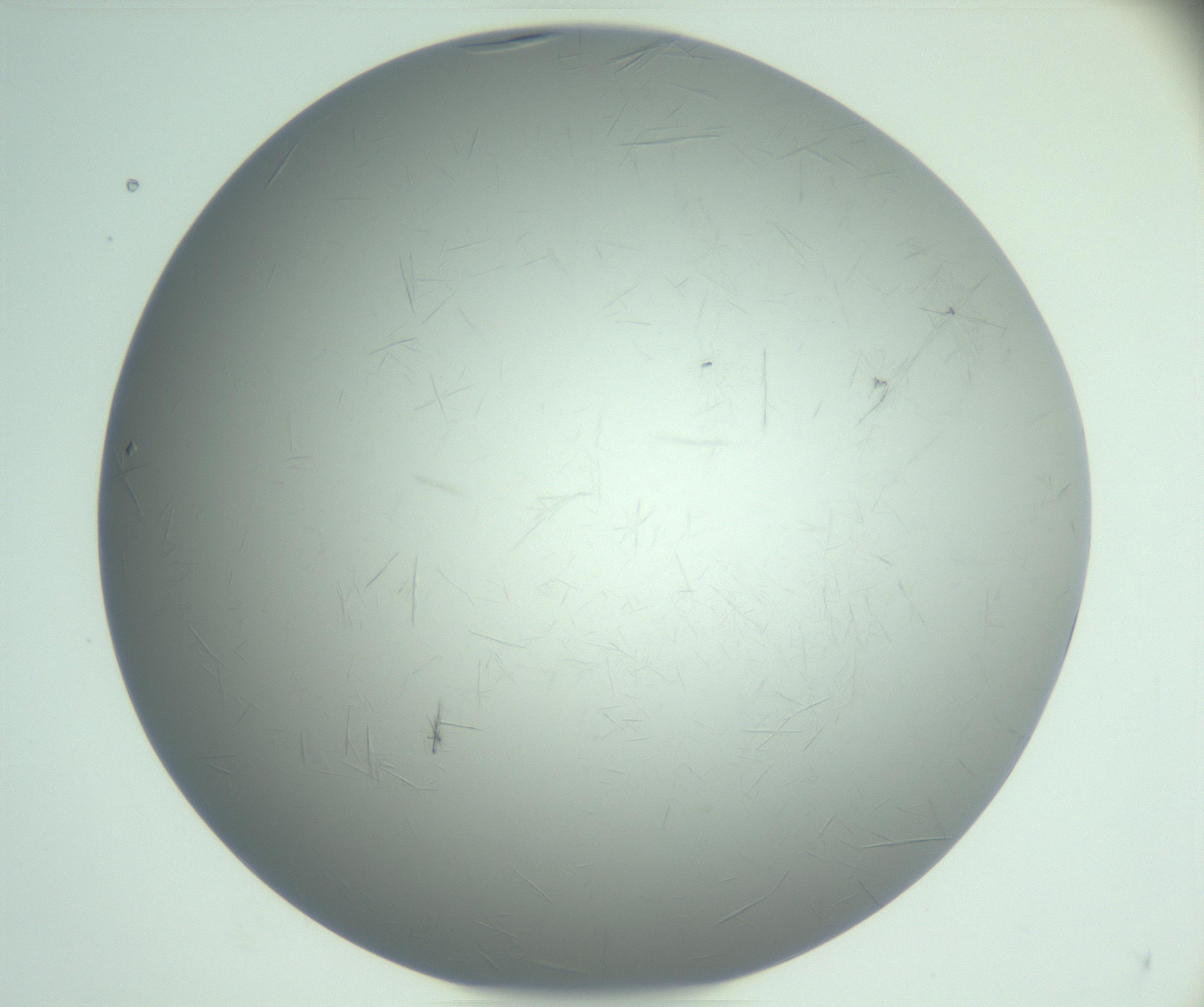 RI01_03_000_0212_Proj1_Clon1_MC_0000MC102940_008_161126_05_04_01_00_99_002_001_RAI.jpg