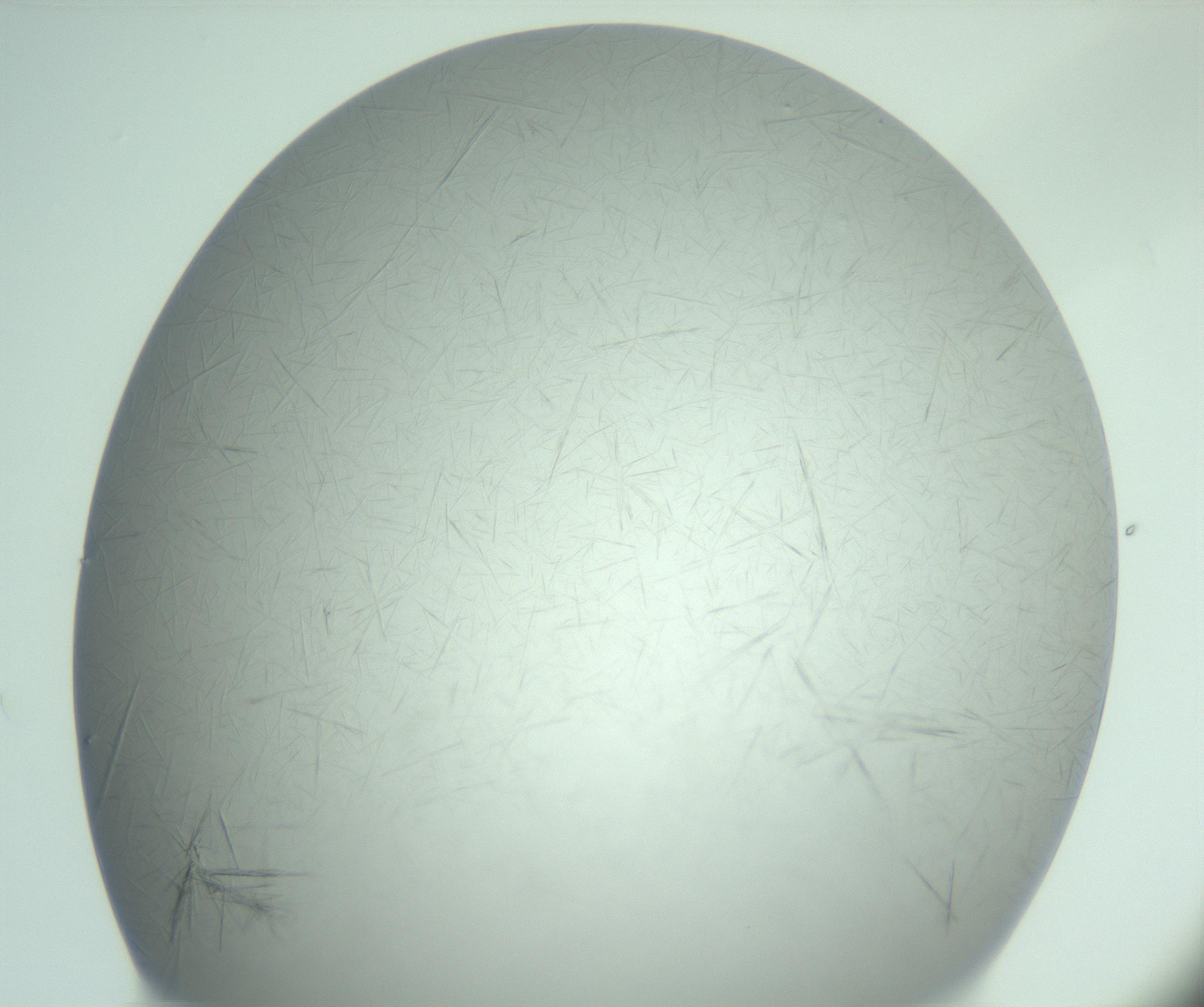 RI01_03_000_0212_Proj1_Clon1_MC_0000MC102940_008_161126_05_04_02_00_99_002_001_RAI.jpg