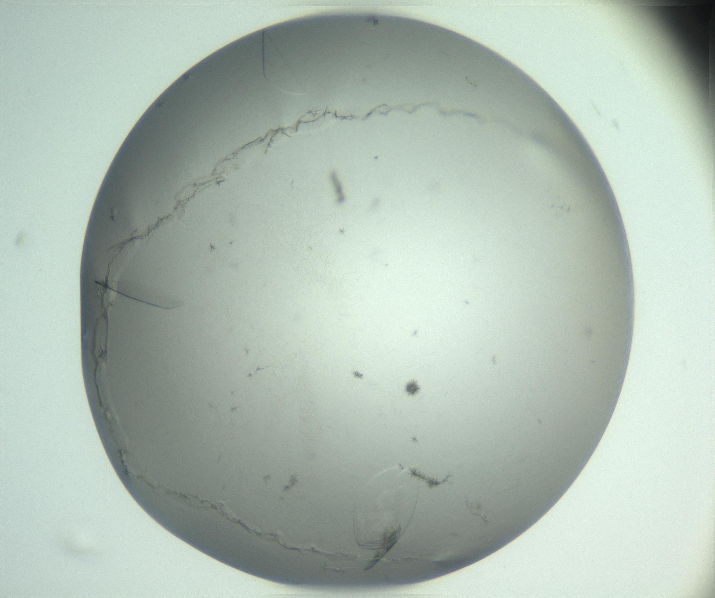 RI01_03_000_0212_Proj1_Clon1_MC_0000MC102940_008_161126_05_07_01_00_99_002_001_RAI.jpg