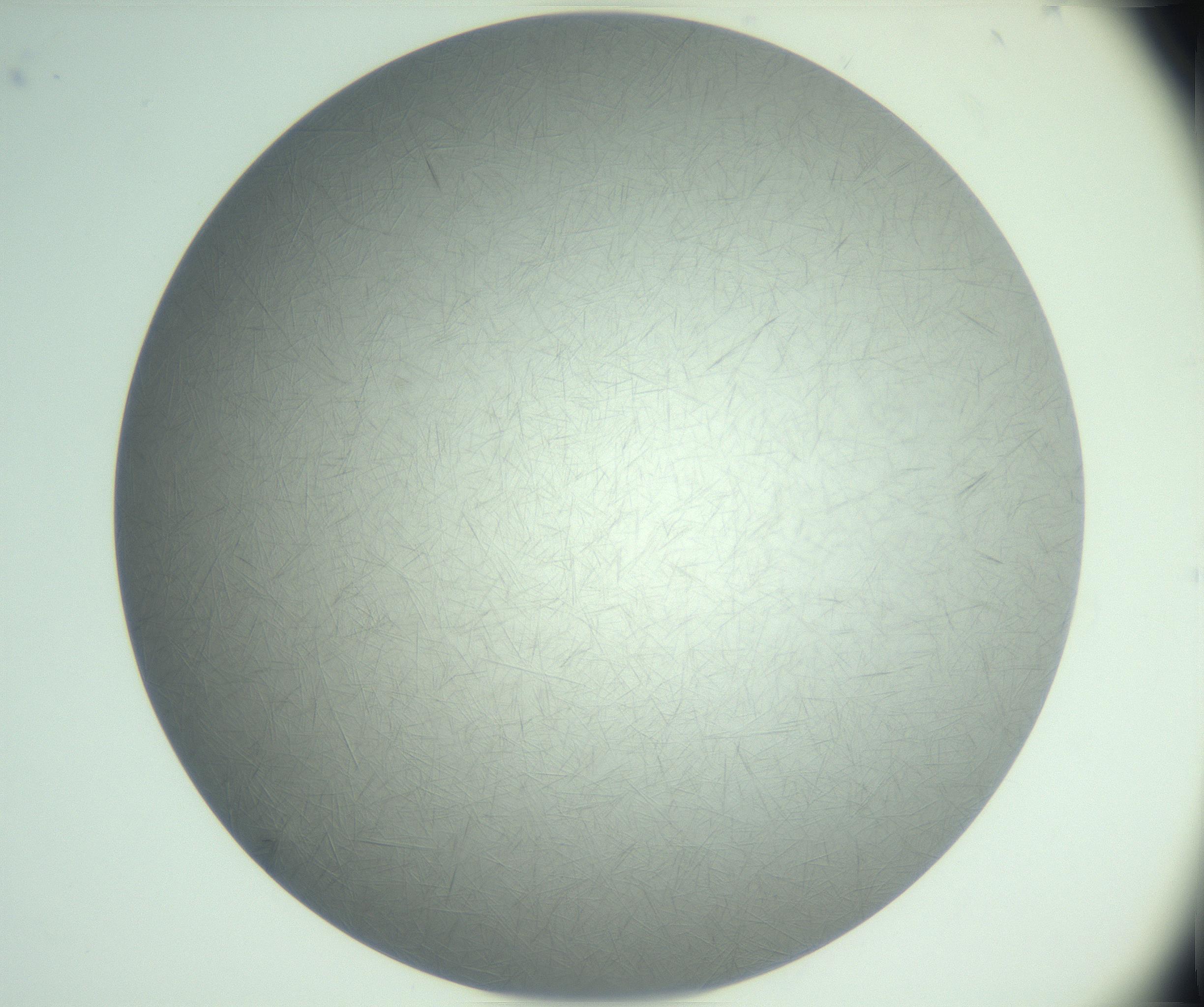 RI01_03_000_0212_Proj1_Clon1_MC_0000MC102940_008_161126_06_02_02_00_99_002_001_RAI.jpg