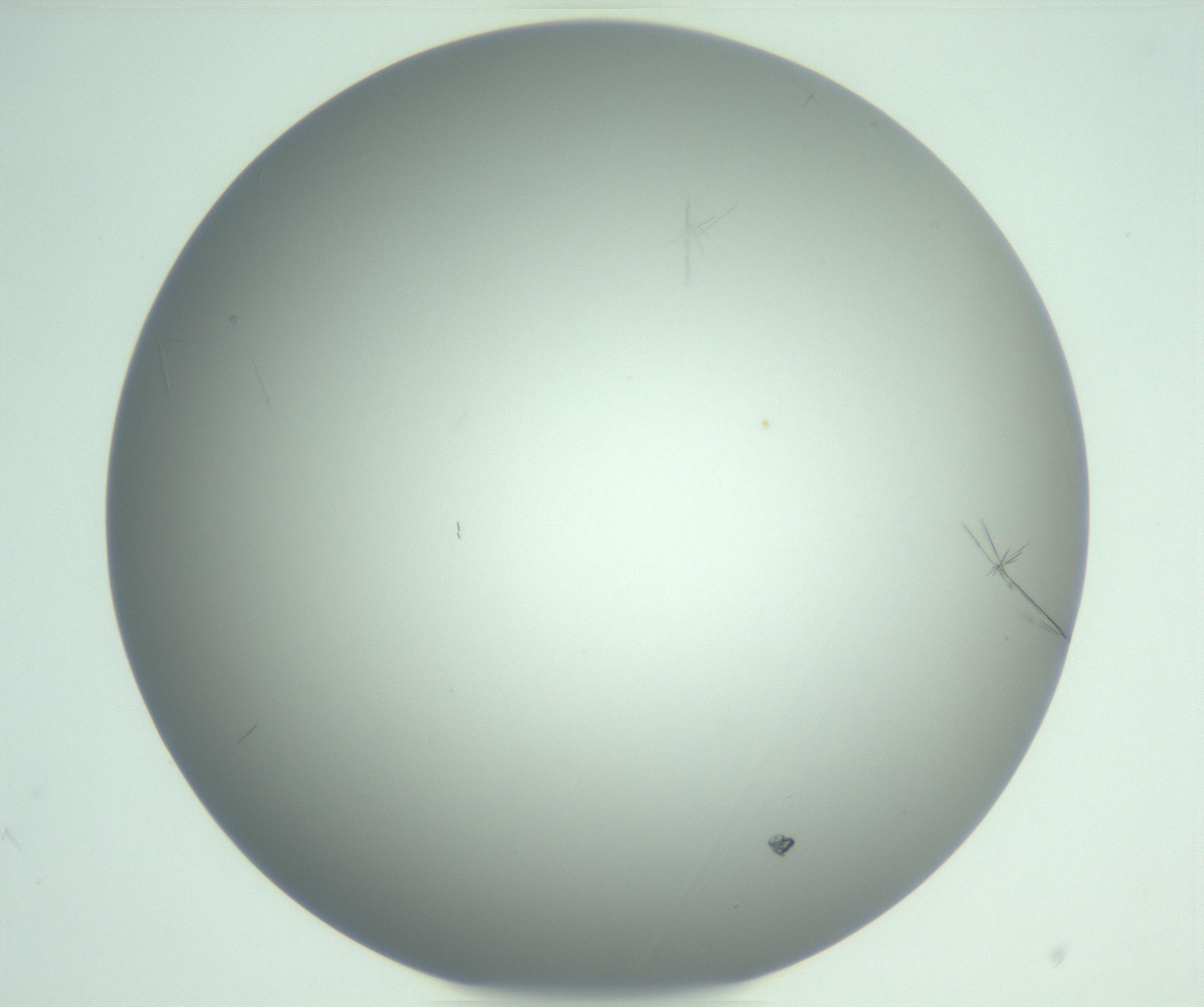 RI01_03_000_0212_Proj1_Clon1_MC_0000MC102940_008_161126_07_06_01_00_99_002_001_RAI.jpg