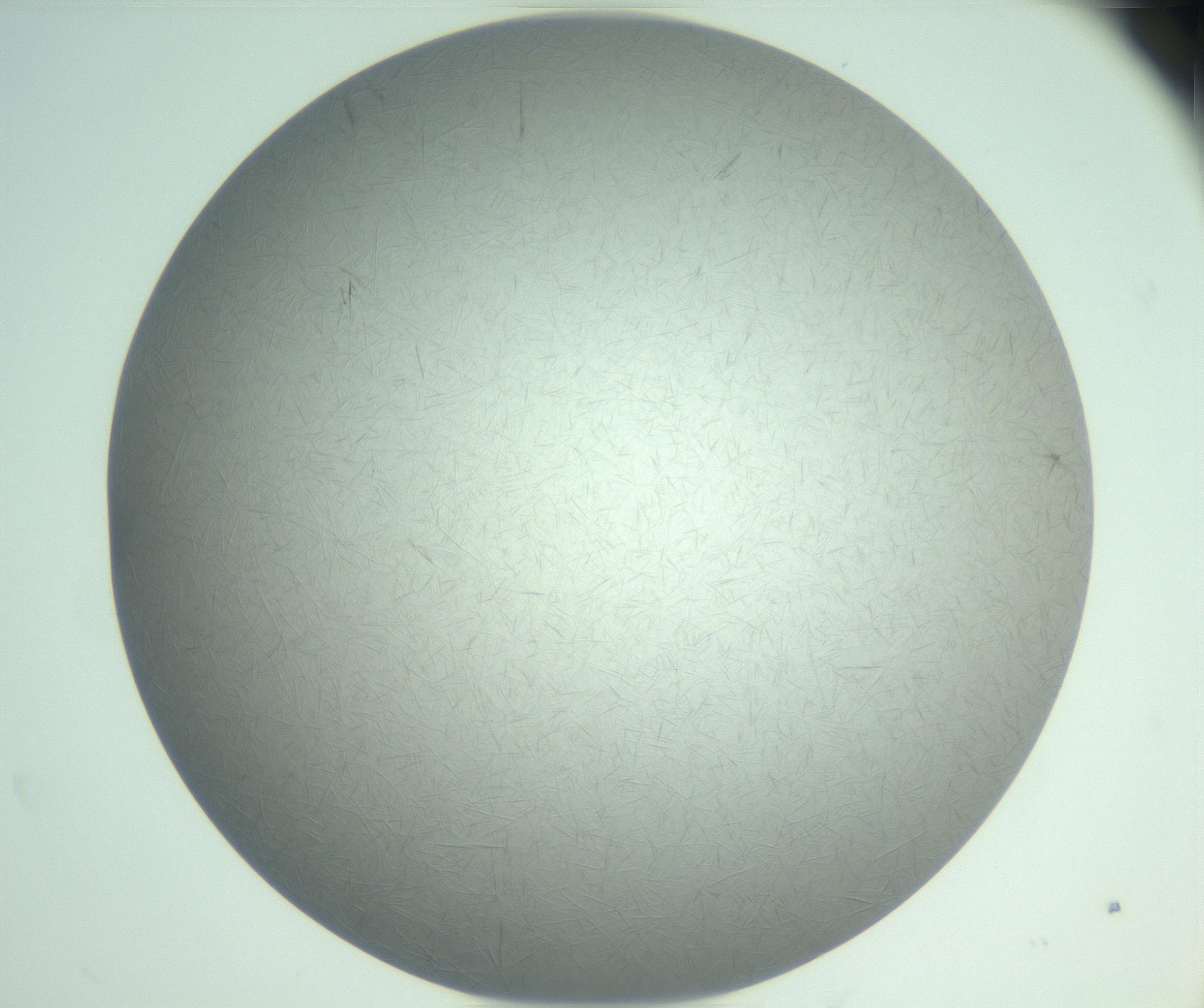 RI01_03_000_0212_Proj1_Clon1_MC_0000MC102940_008_161126_07_07_02_00_99_002_001_RAI.jpg