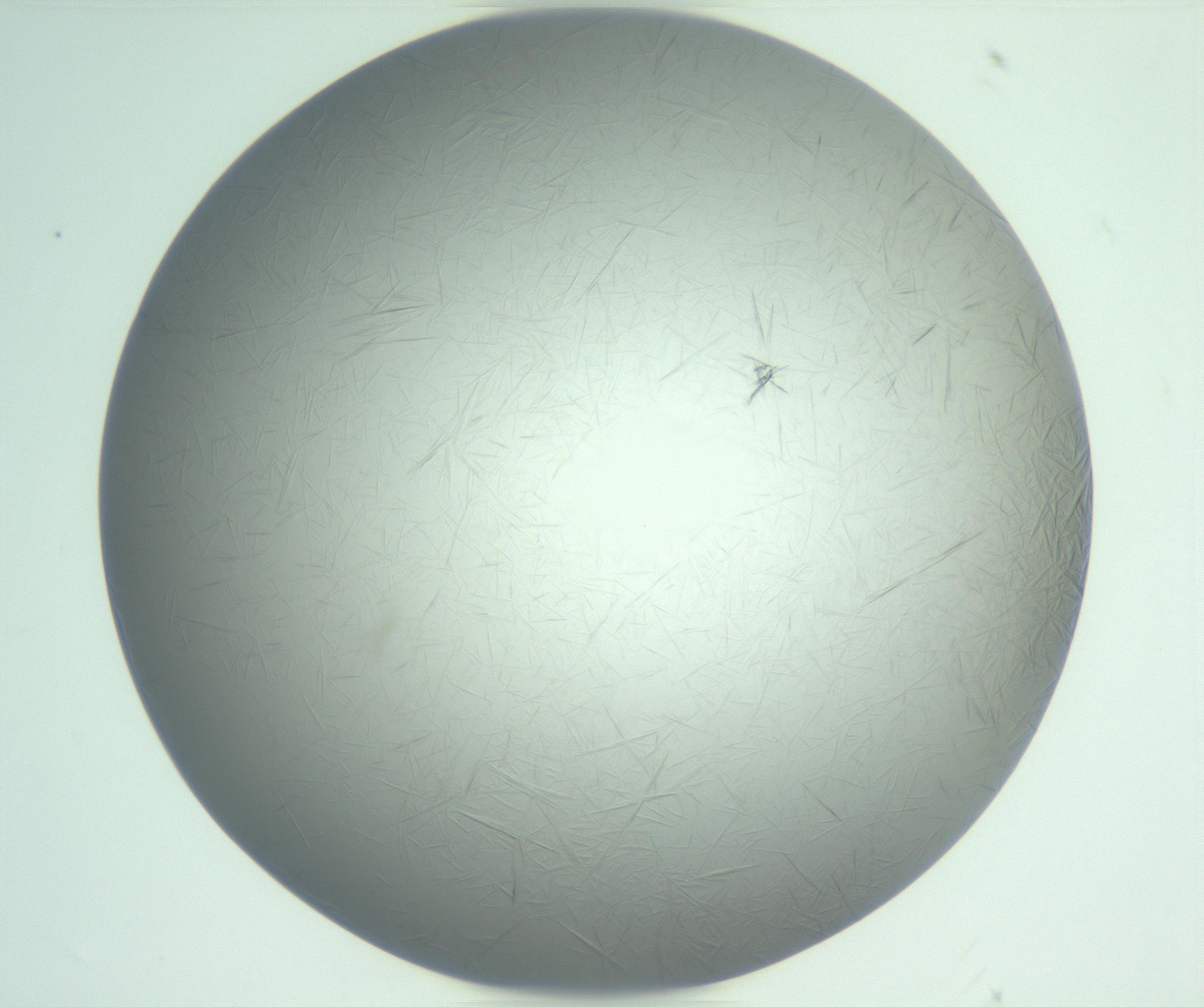 RI01_03_000_0212_Proj1_Clon1_MC_0000MC102940_008_161126_08_02_01_00_99_002_001_RAI.jpg