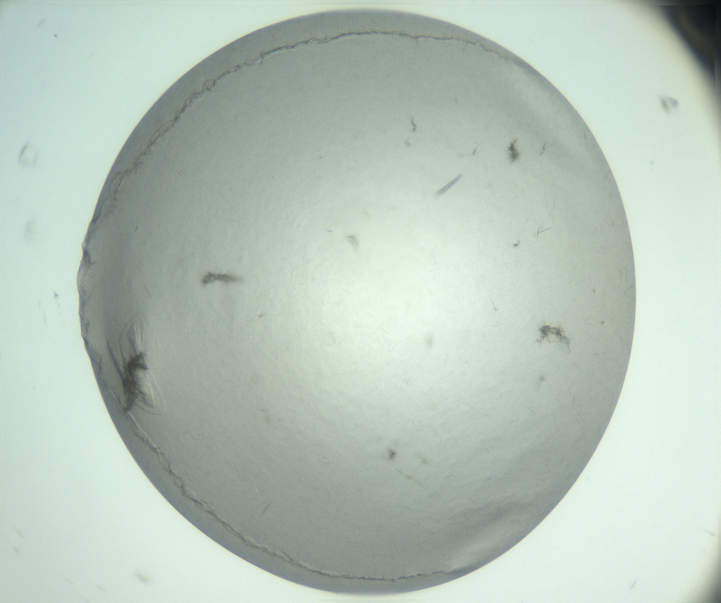 RI01_03_000_0212_Proj1_Clon1_MC_0000MC102940_008_161126_08_06_02_00_99_002_001_RAI.jpg