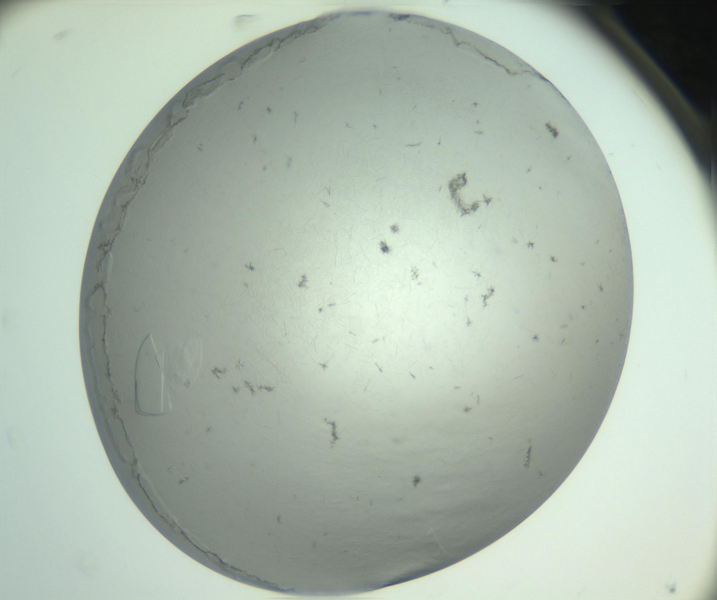 RI01_03_000_0212_Proj1_Clon1_MC_0000MC102940_008_161126_08_08_02_00_99_002_001_RAI.jpg