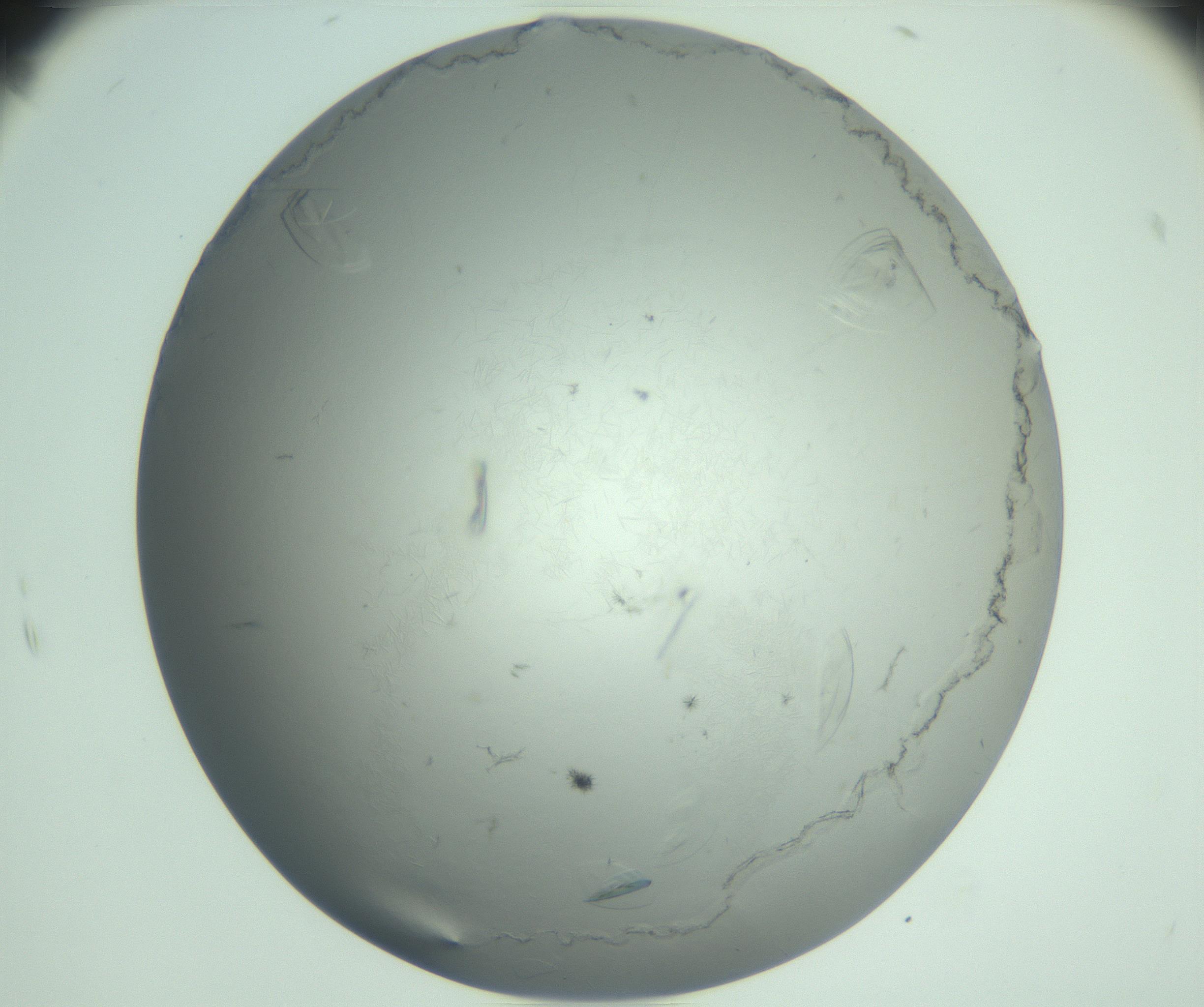 RI01_03_000_0212_Proj1_Clon1_MC_0000MC102940_008_161126_10_06_02_00_99_002_001_RAI.jpg