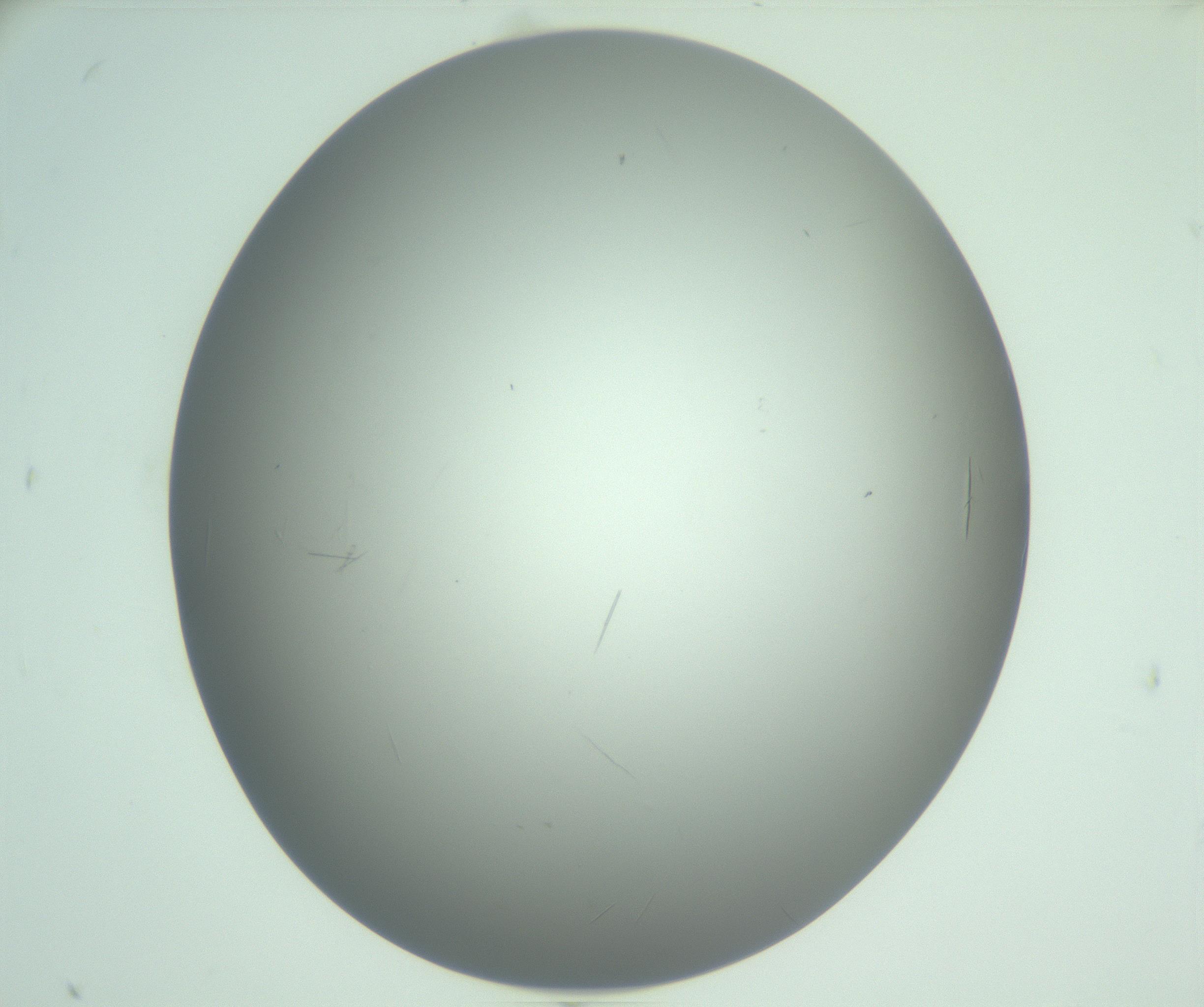 RI01_03_000_0212_Proj1_Clon1_MC_0000MC102940_008_161126_11_08_01_00_99_002_001_RAI.jpg