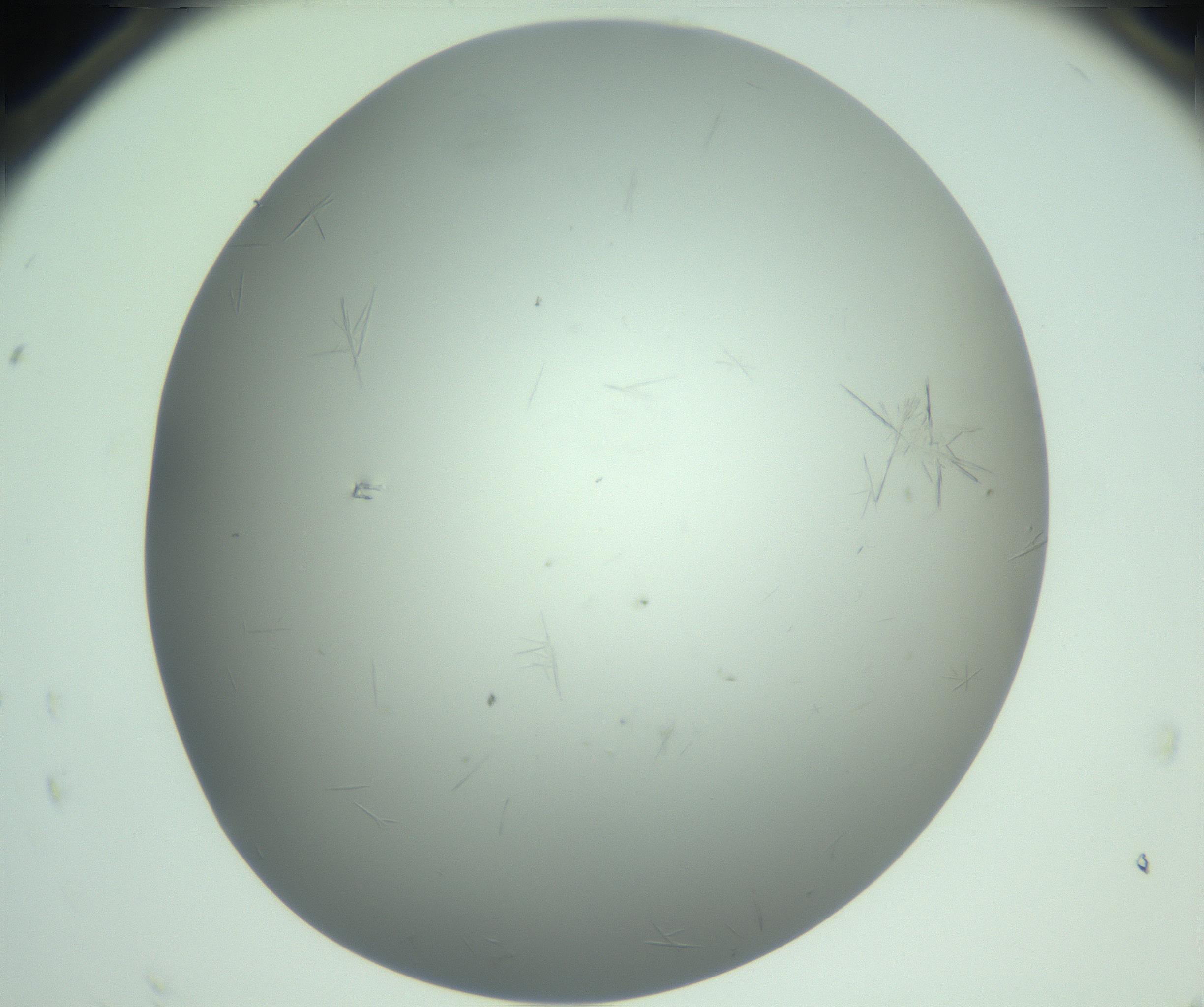 RI01_03_000_0212_Proj1_Clon1_MC_0000MC102940_008_161126_11_08_02_00_99_002_001_RAI.jpg
