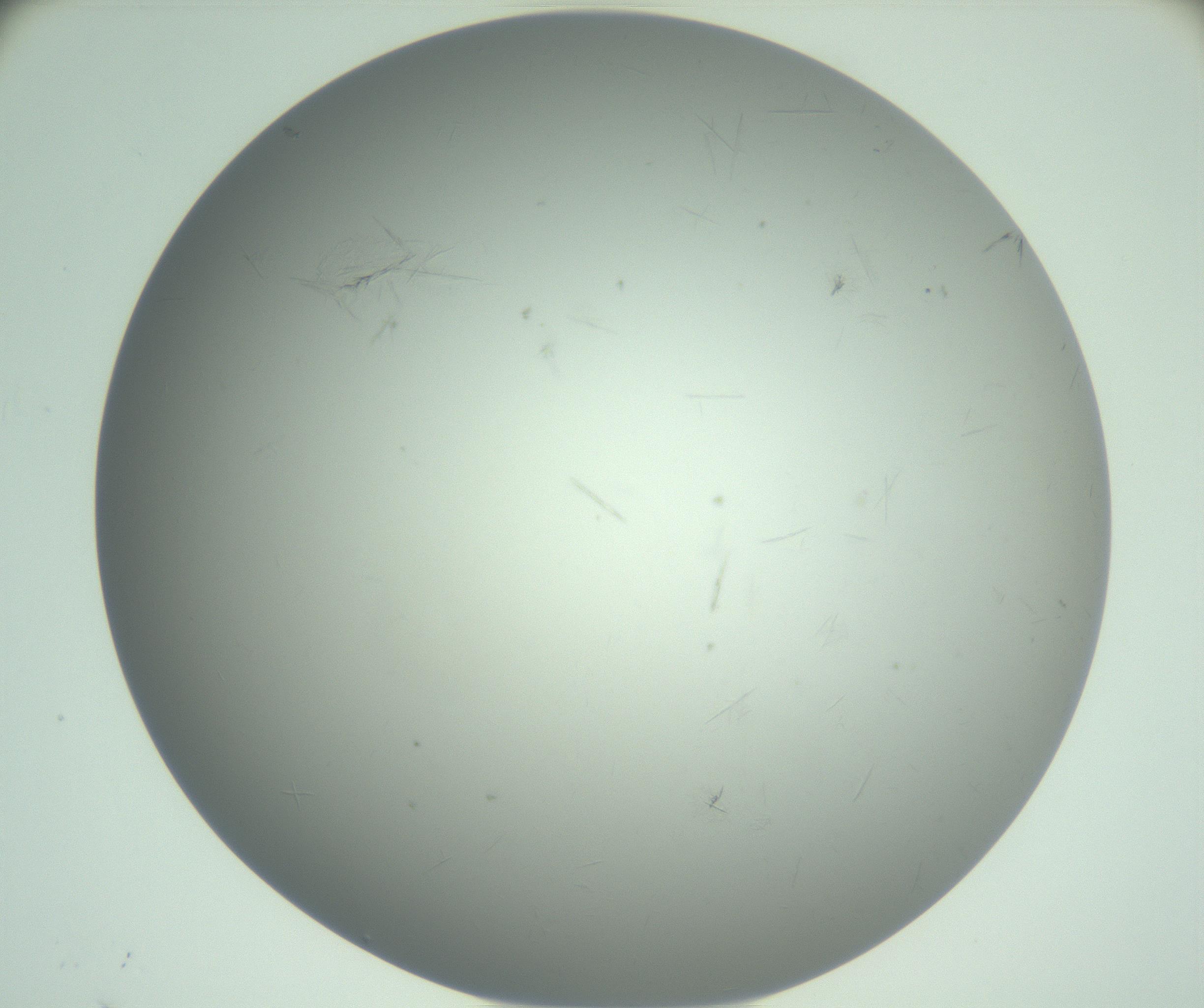 RI01_03_000_0212_Proj1_Clon1_MC_0000MC102940_008_161126_12_06_02_00_99_002_001_RAI.jpg