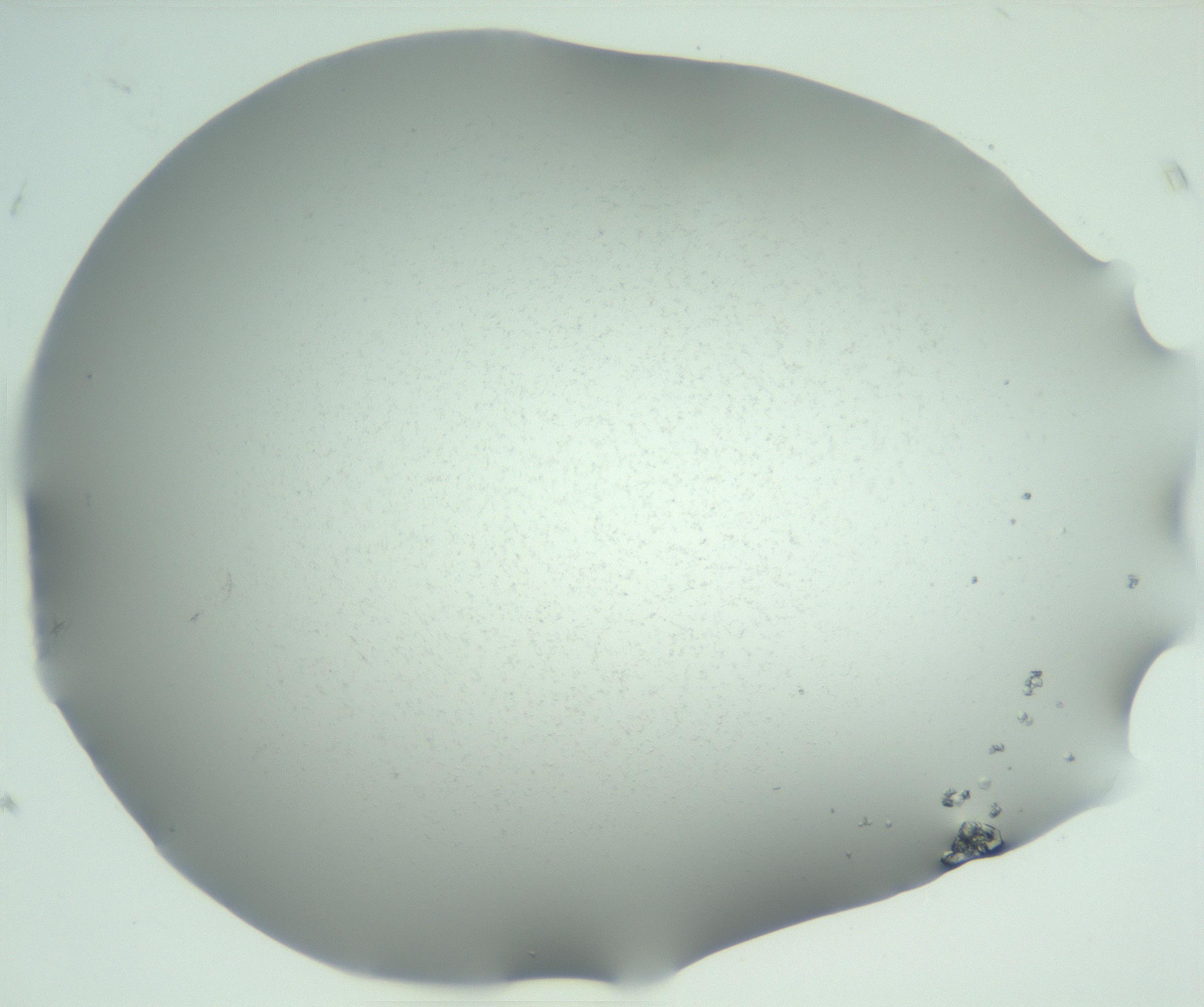 RI01_03_000_0212_Proj1_Clon1_MC_0000MC102942_005_161113_07_04_02_00_99_002_001_RAI.jpg