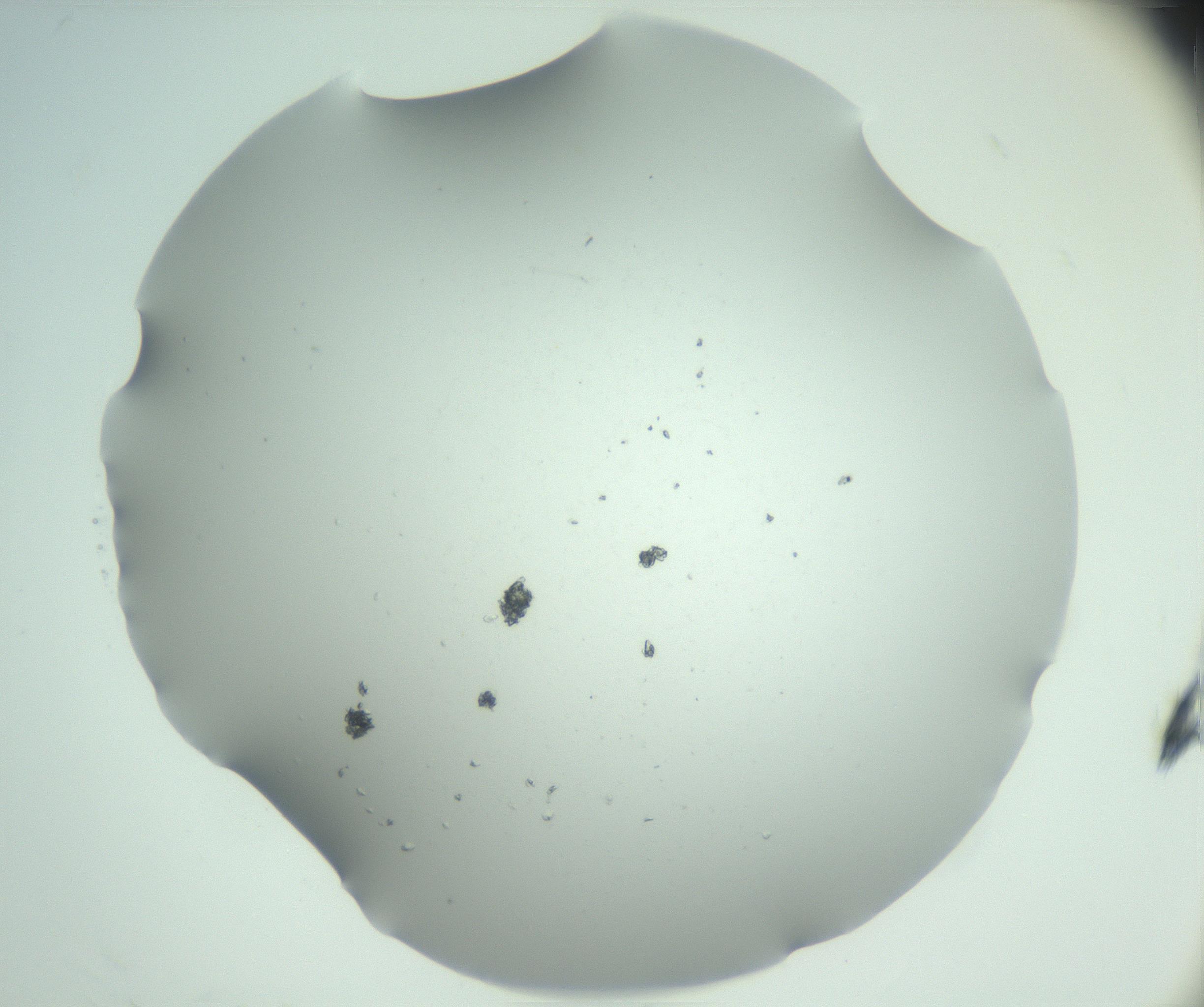 RI01_03_000_0212_Proj1_Clon1_MC_0000MC102942_005_161113_08_05_02_00_99_002_001_RAI.jpg