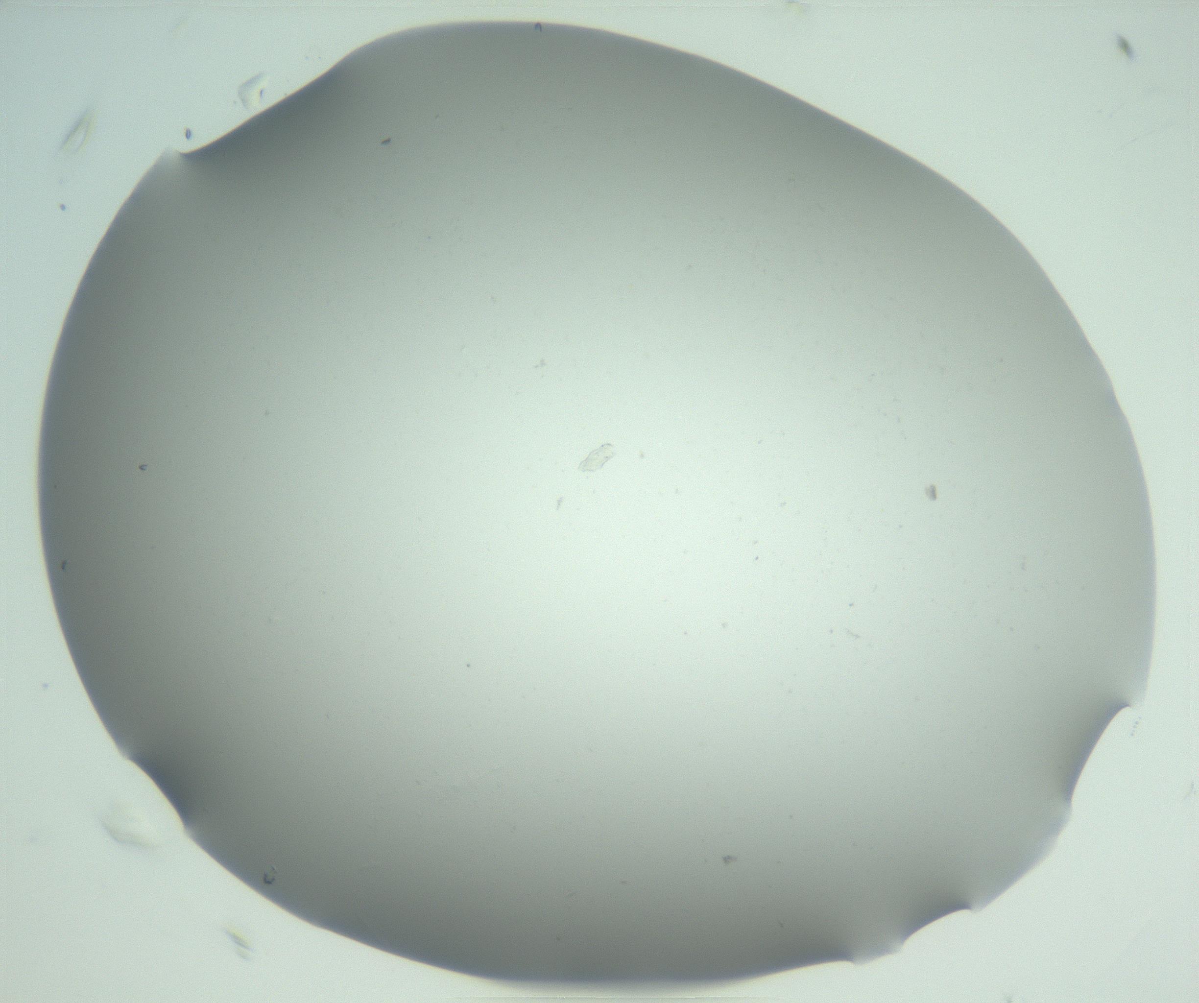RI01_03_000_0212_Proj1_Clon1_MC_0000MC102942_006_161115_07_06_02_00_99_002_001_RAI.jpg