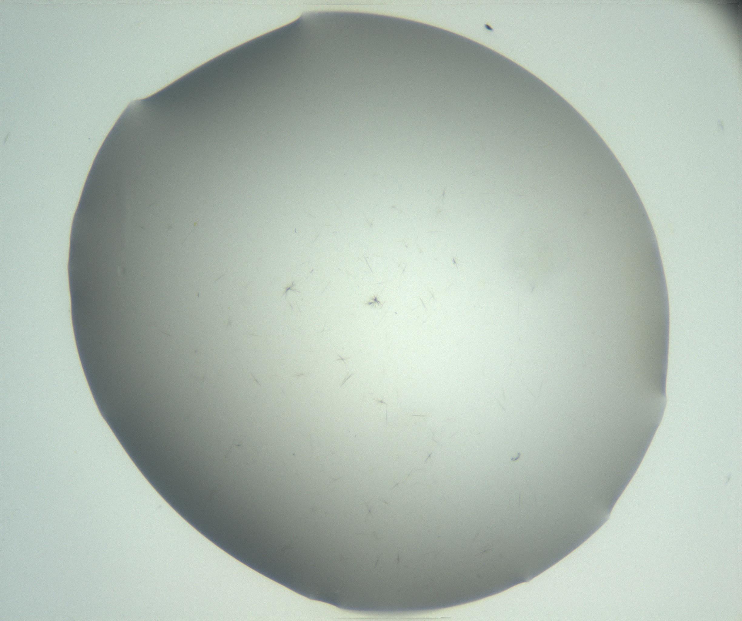 RI01_03_000_0212_Proj1_Clon1_MC_0000MC102942_007_161119_11_02_02_00_99_002_001_RAI.jpg