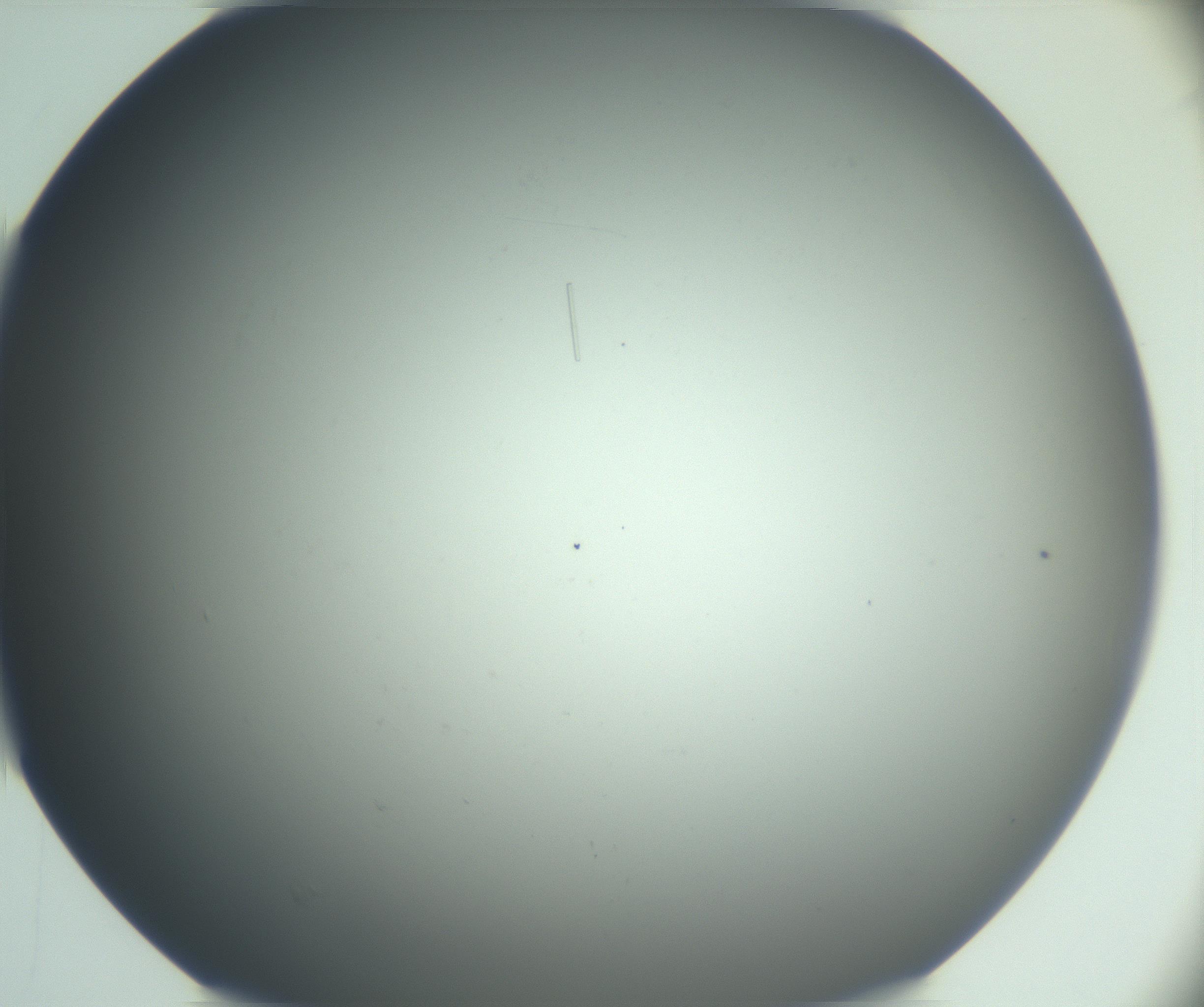 RI01_03_000_0212_Proj1_Clon1_MC_0000MC102945_004_161111_02_05_02_00_99_002_001_RAI.jpg