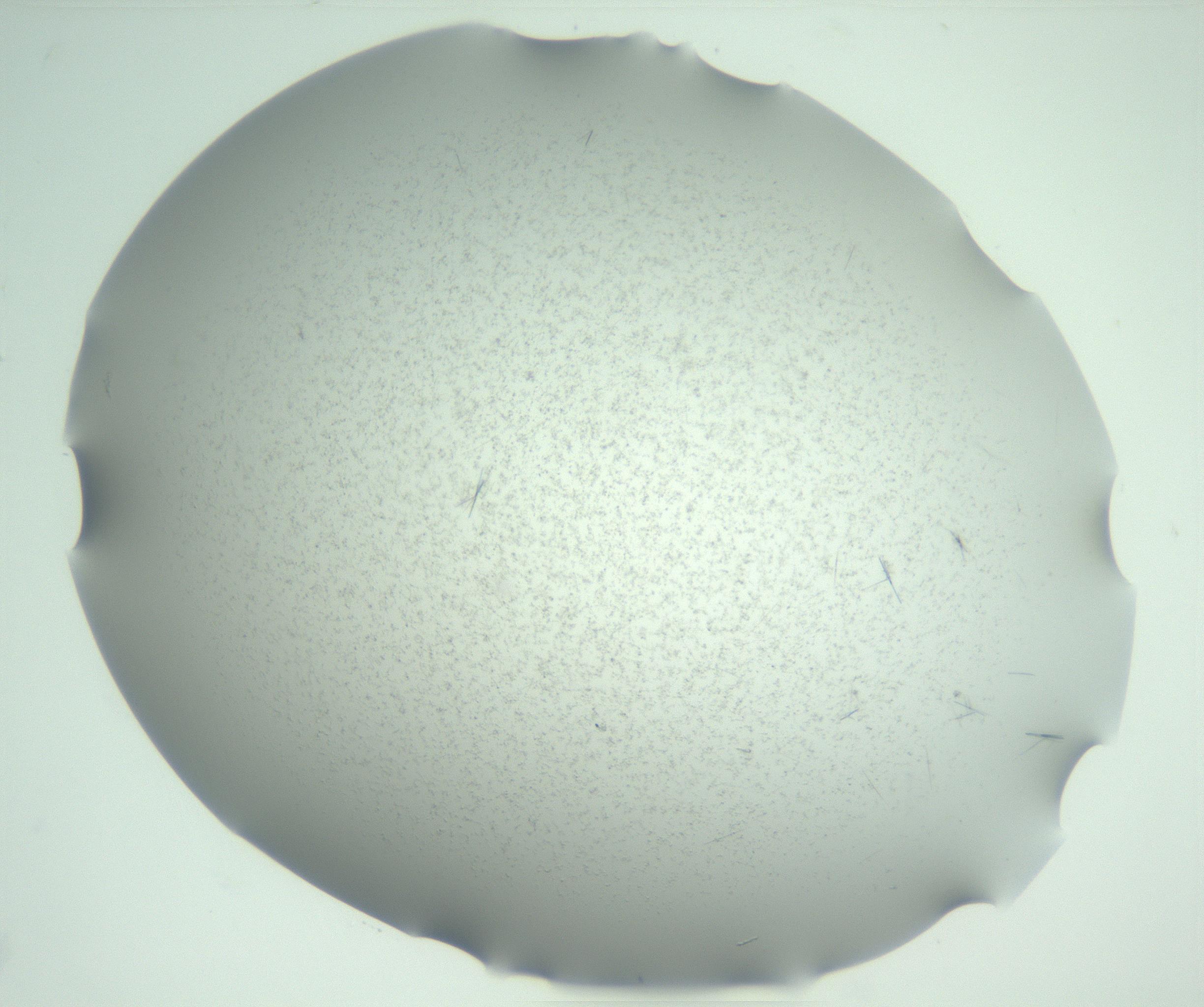 RI01_03_000_0212_Proj1_Clon1_MC_0000MC102945_006_161115_09_01_02_00_99_002_001_RAI.jpg