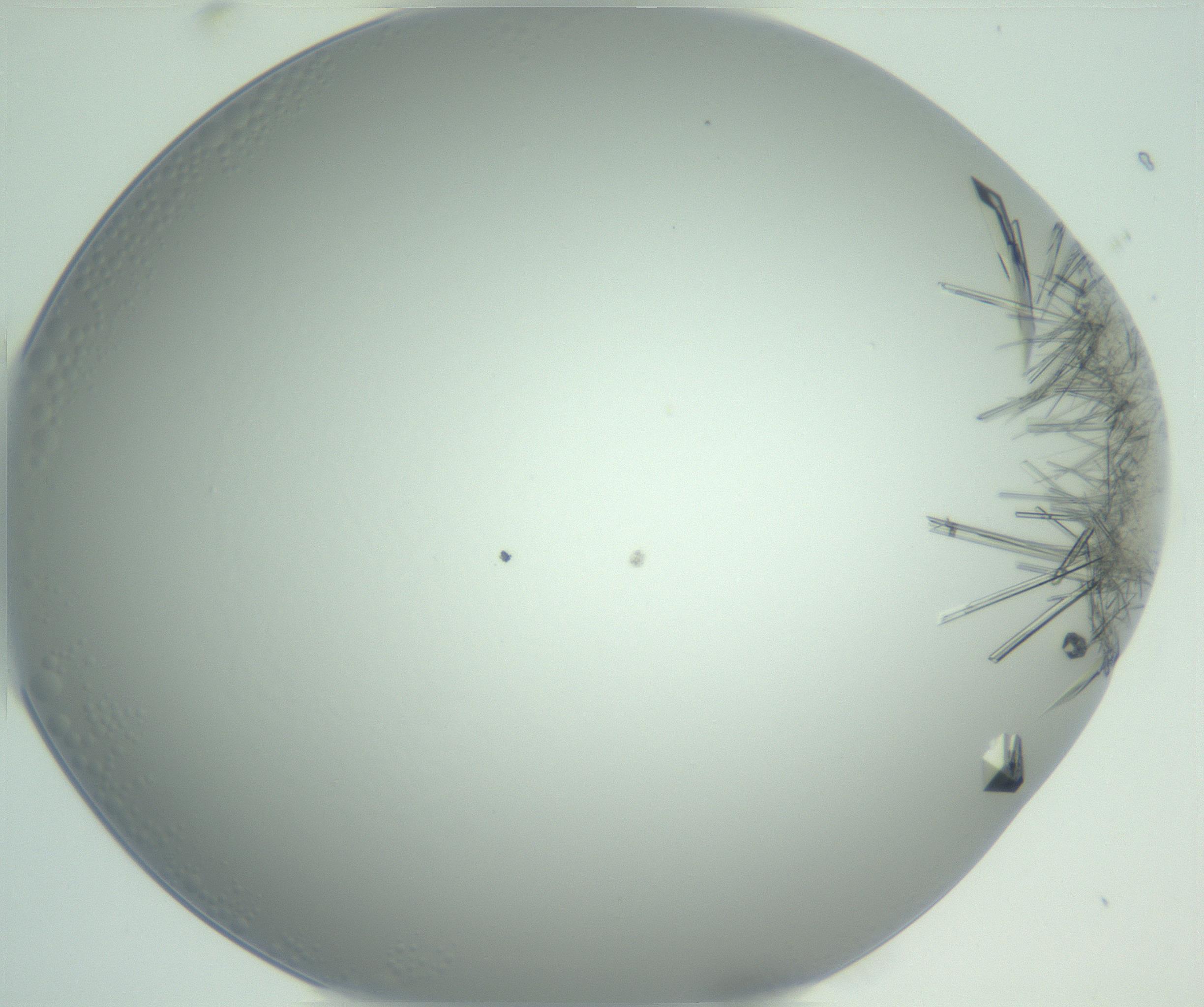 RI01_03_000_0212_Proj1_Clon1_MC_0000MC102948_002_161110_01_05_01_00_99_002_001_RAI.jpg