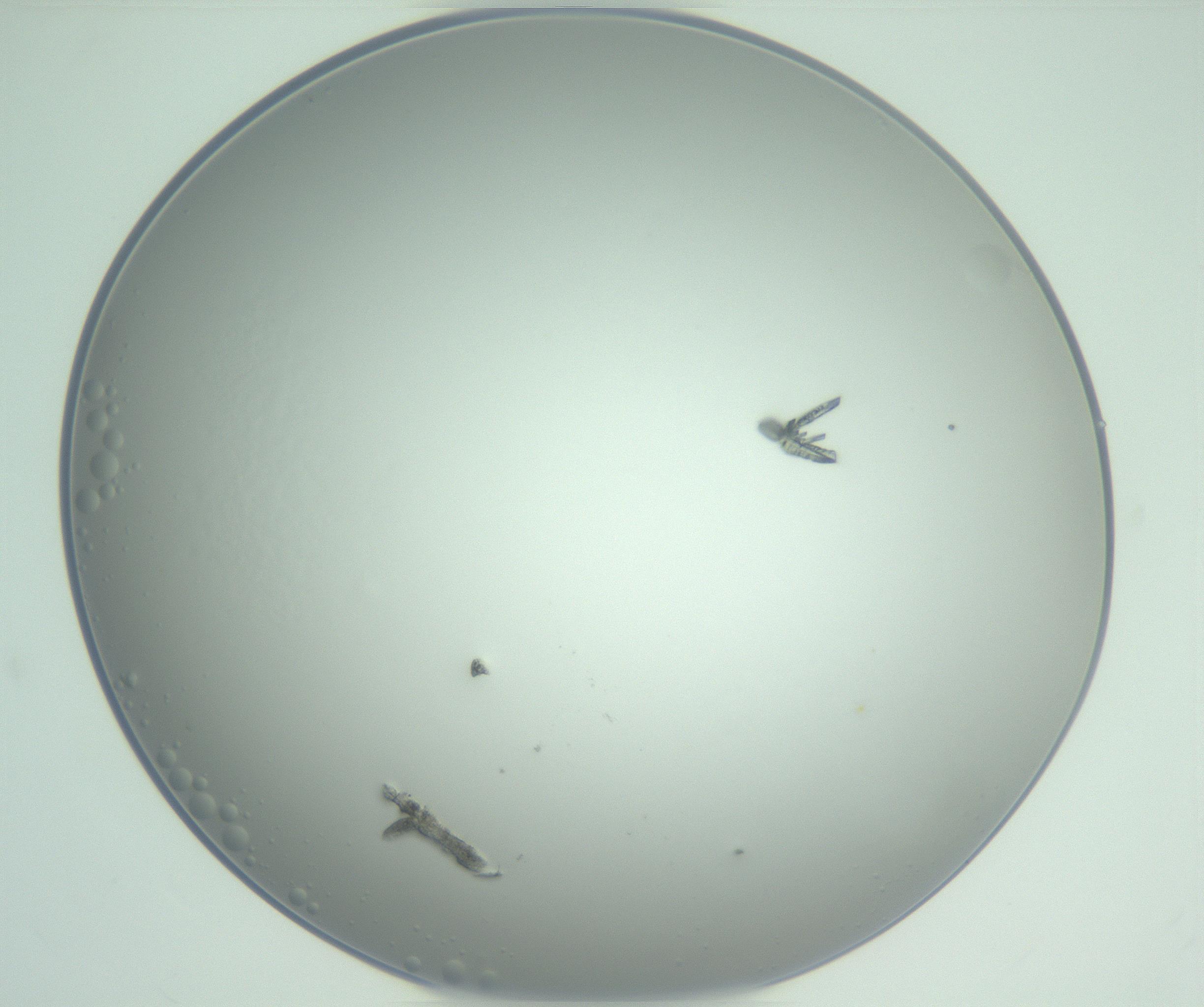 RI01_03_000_0212_Proj1_Clon1_MC_0000MC102948_002_161110_01_06_01_00_99_002_001_RAI.jpg