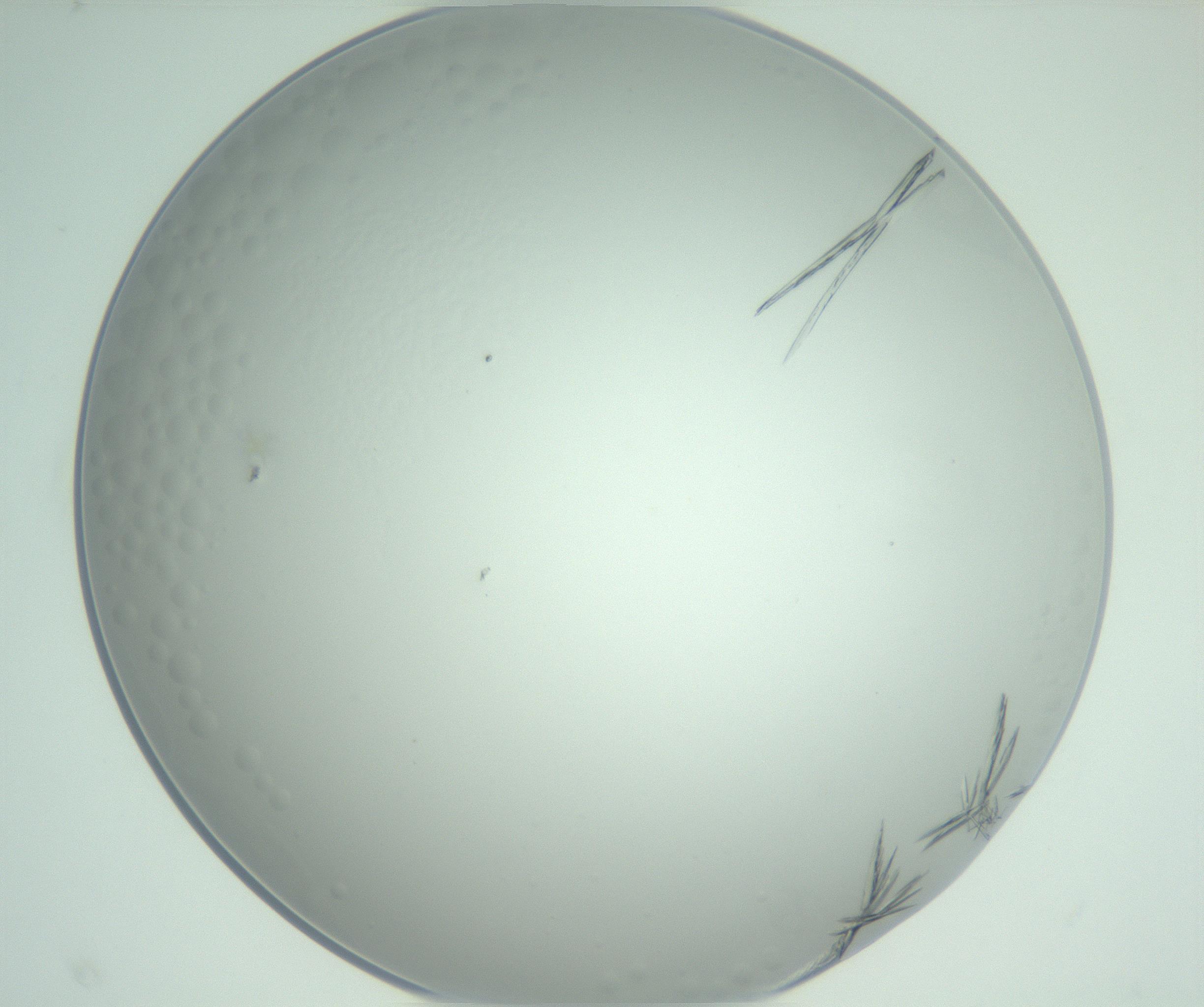 RI01_03_000_0212_Proj1_Clon1_MC_0000MC102948_002_161110_01_06_02_00_99_002_001_RAI.jpg