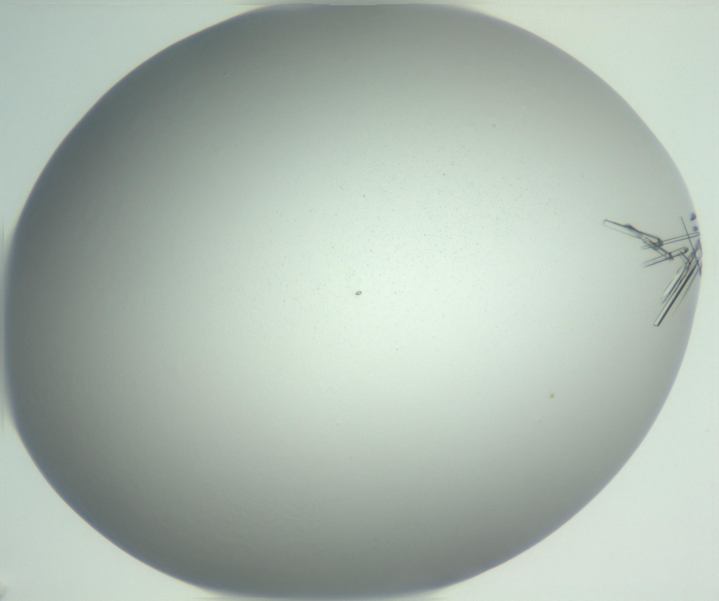 RI01_03_000_0212_Proj1_Clon1_MC_0000MC102948_002_161110_01_08_02_00_99_002_001_RAI.jpg
