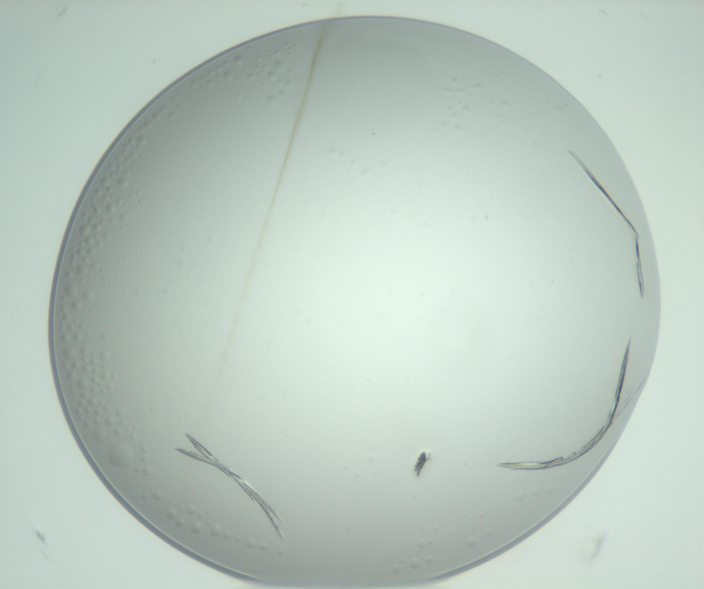 RI01_03_000_0212_Proj1_Clon1_MC_0000MC102948_002_161110_04_05_02_00_99_002_001_RAI.jpg