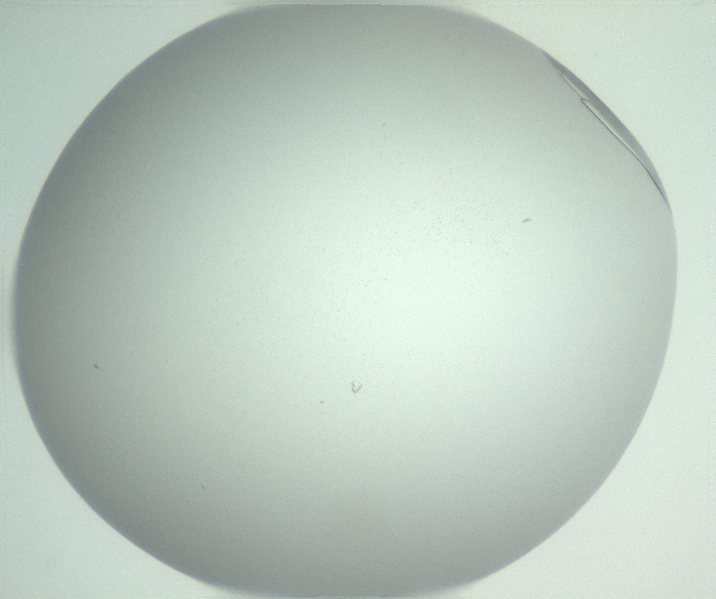 RI01_03_000_0212_Proj1_Clon1_MC_0000MC102948_002_161110_04_07_02_00_99_002_001_RAI.jpg